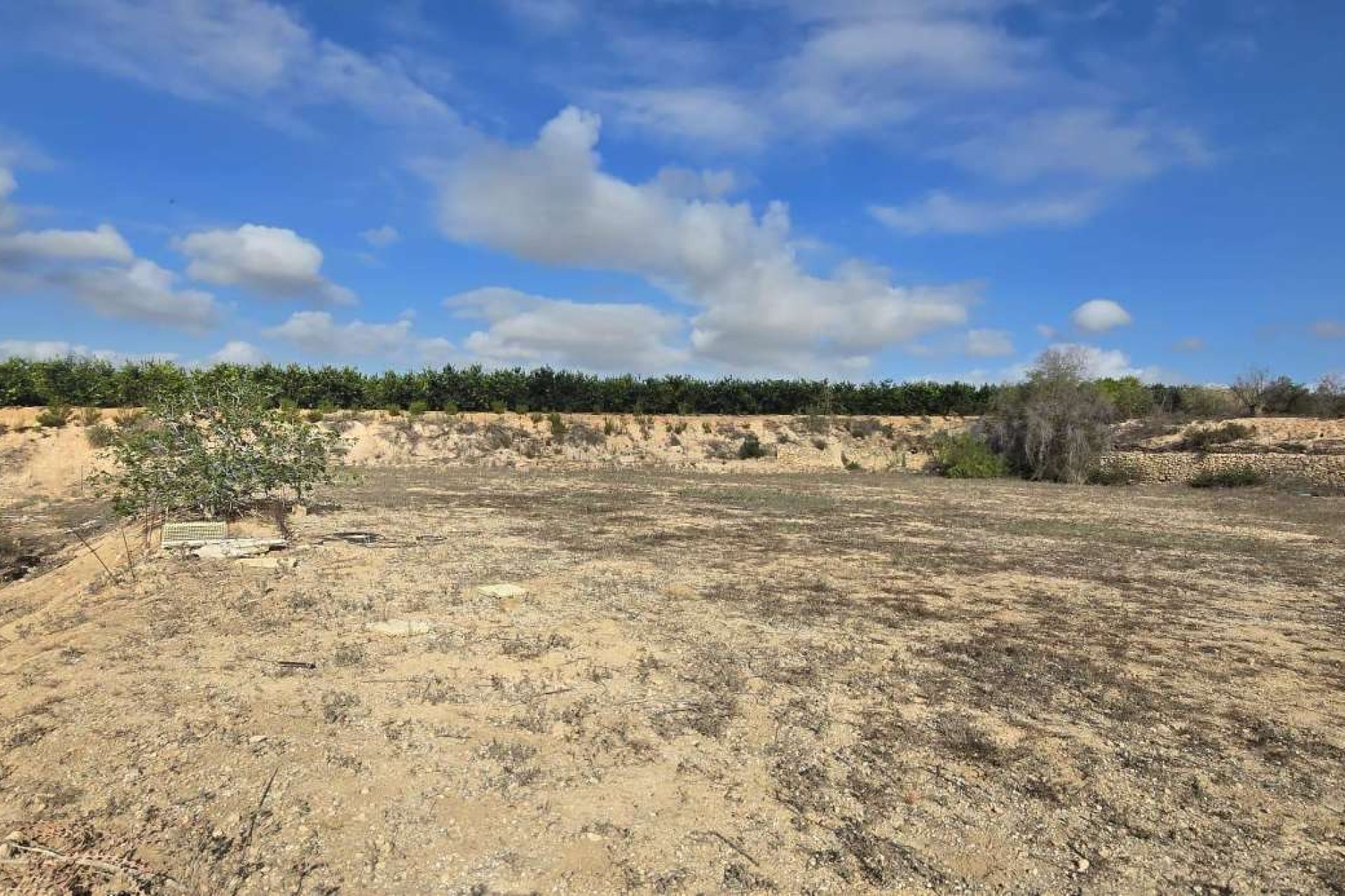 Resale - Finca -
Los Montesinos