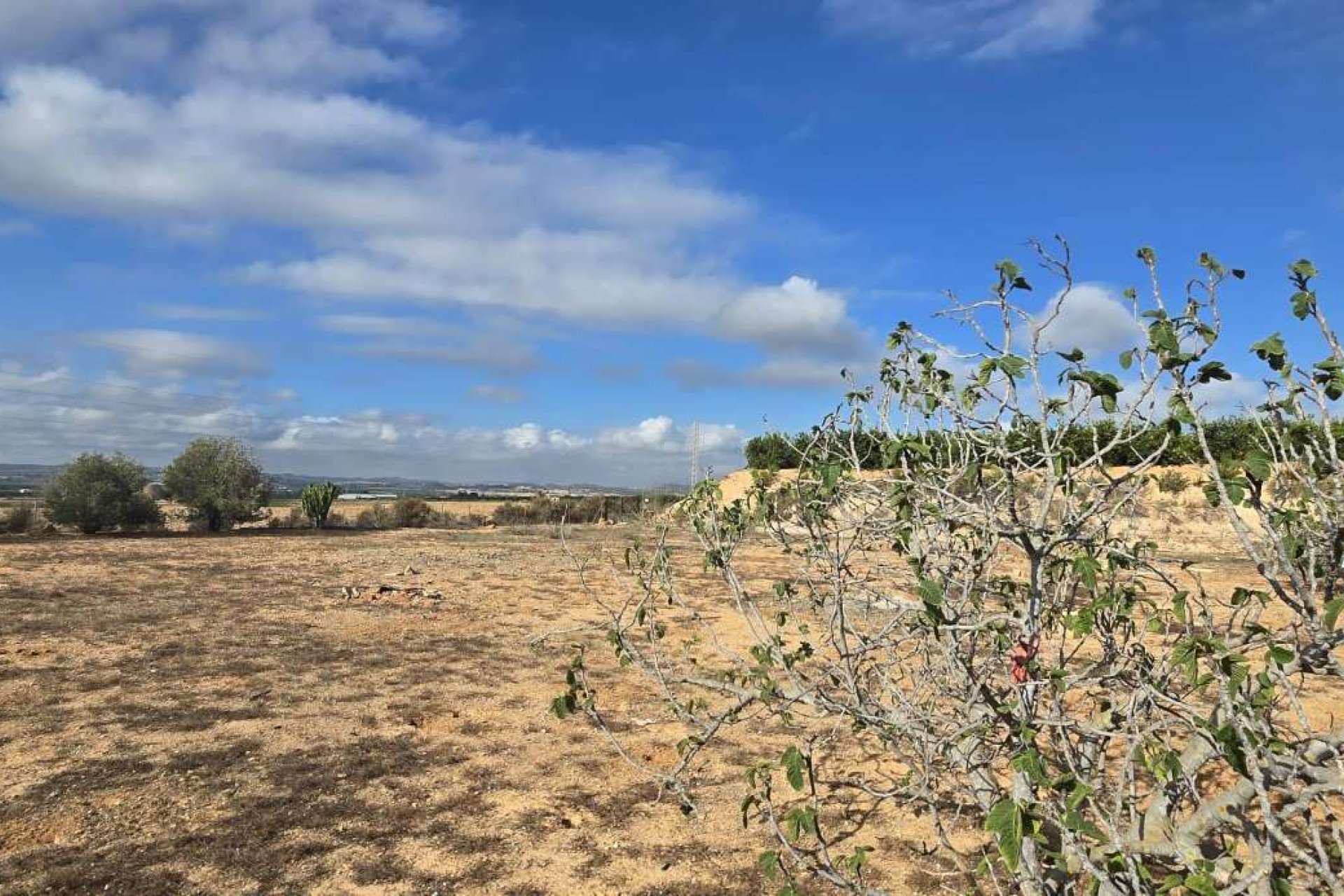 Resale - Finca -
Los Montesinos