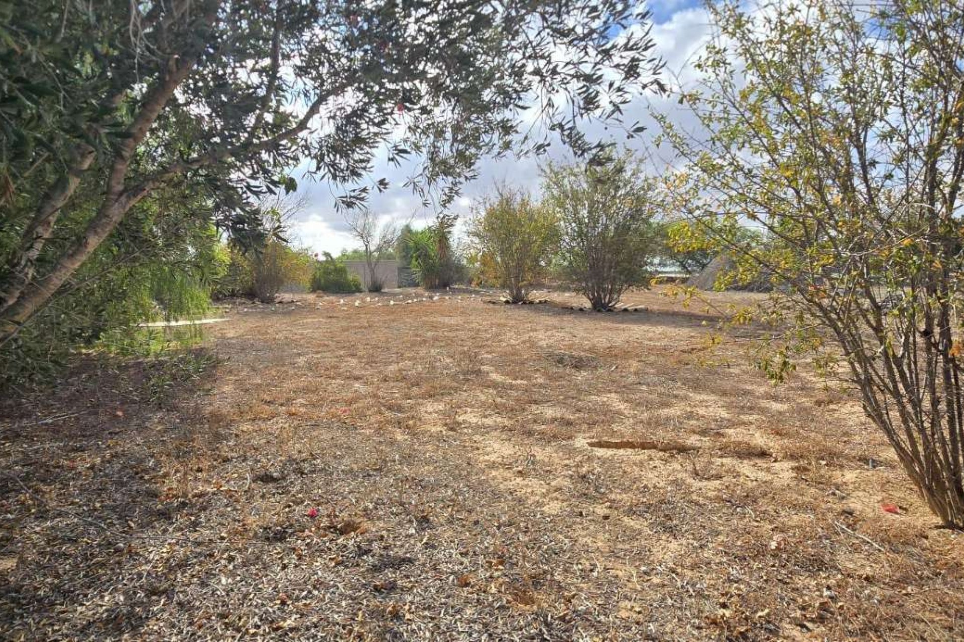 Resale - Finca -
Los Montesinos