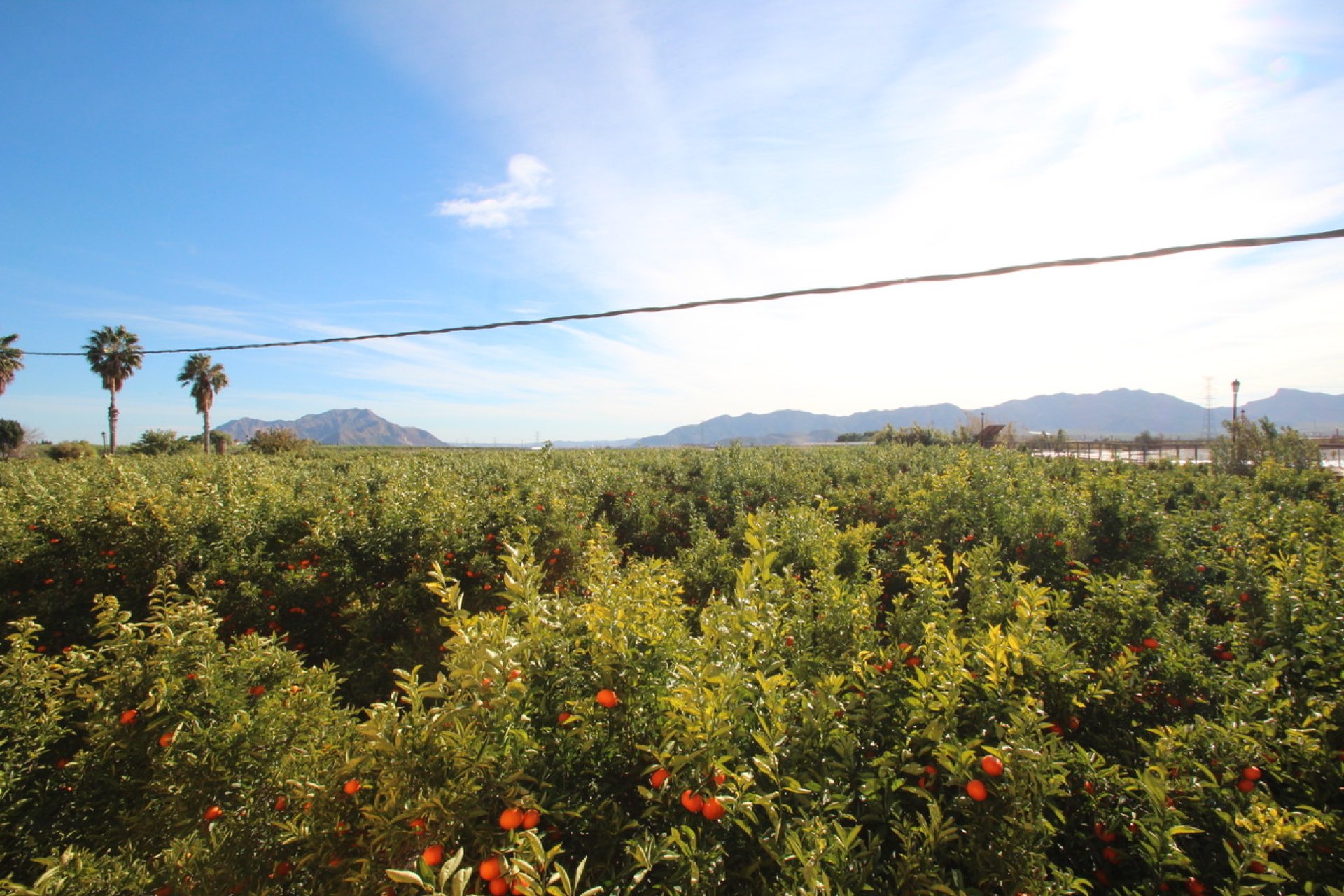 Resale - Finca -
Murcia - Costa Blanca Sur