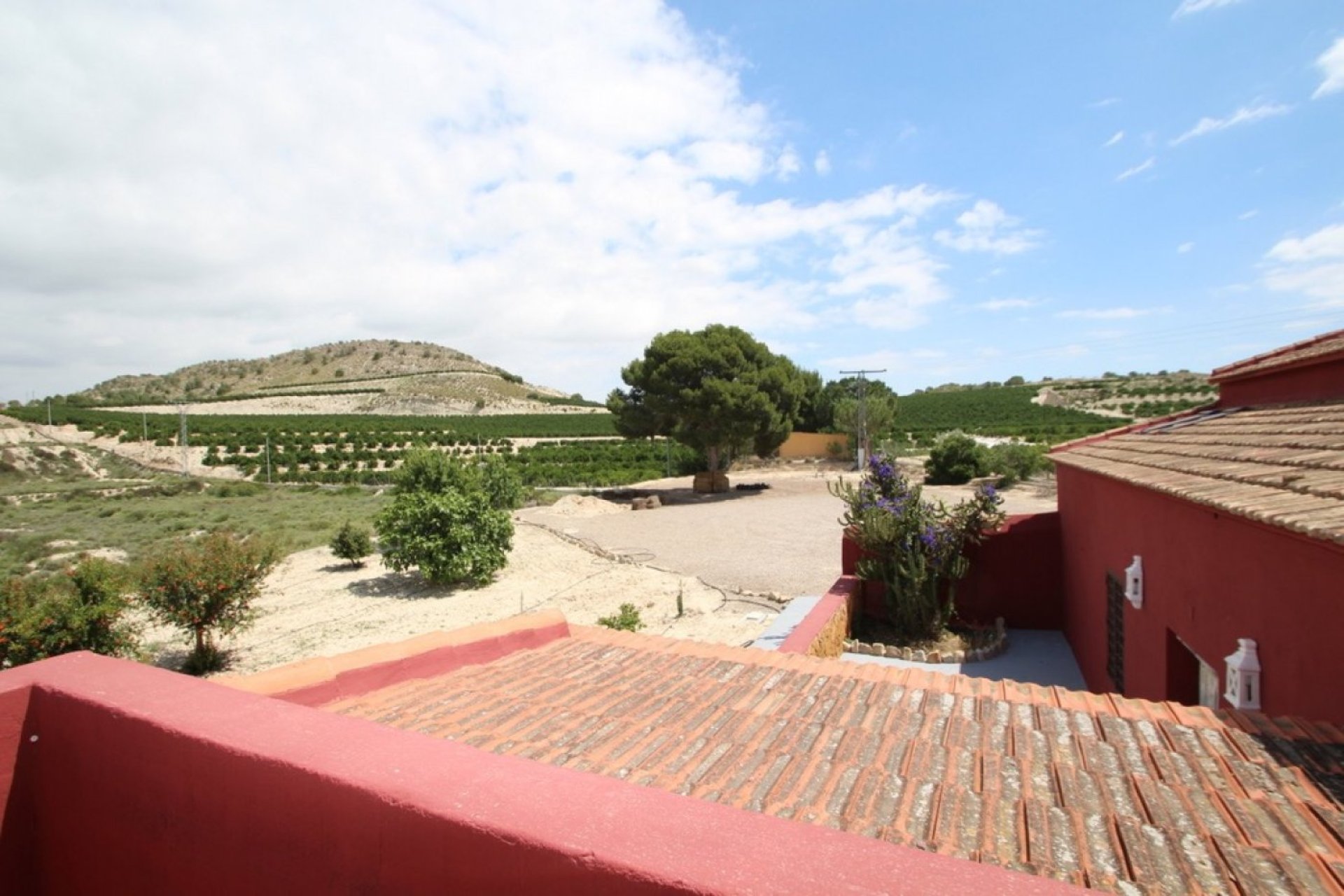 Resale - Finca -
Orihuela - Torremendo