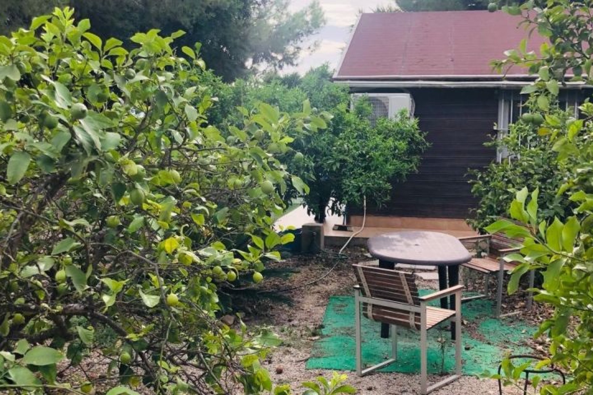 Resale - Finca -
Orihuela