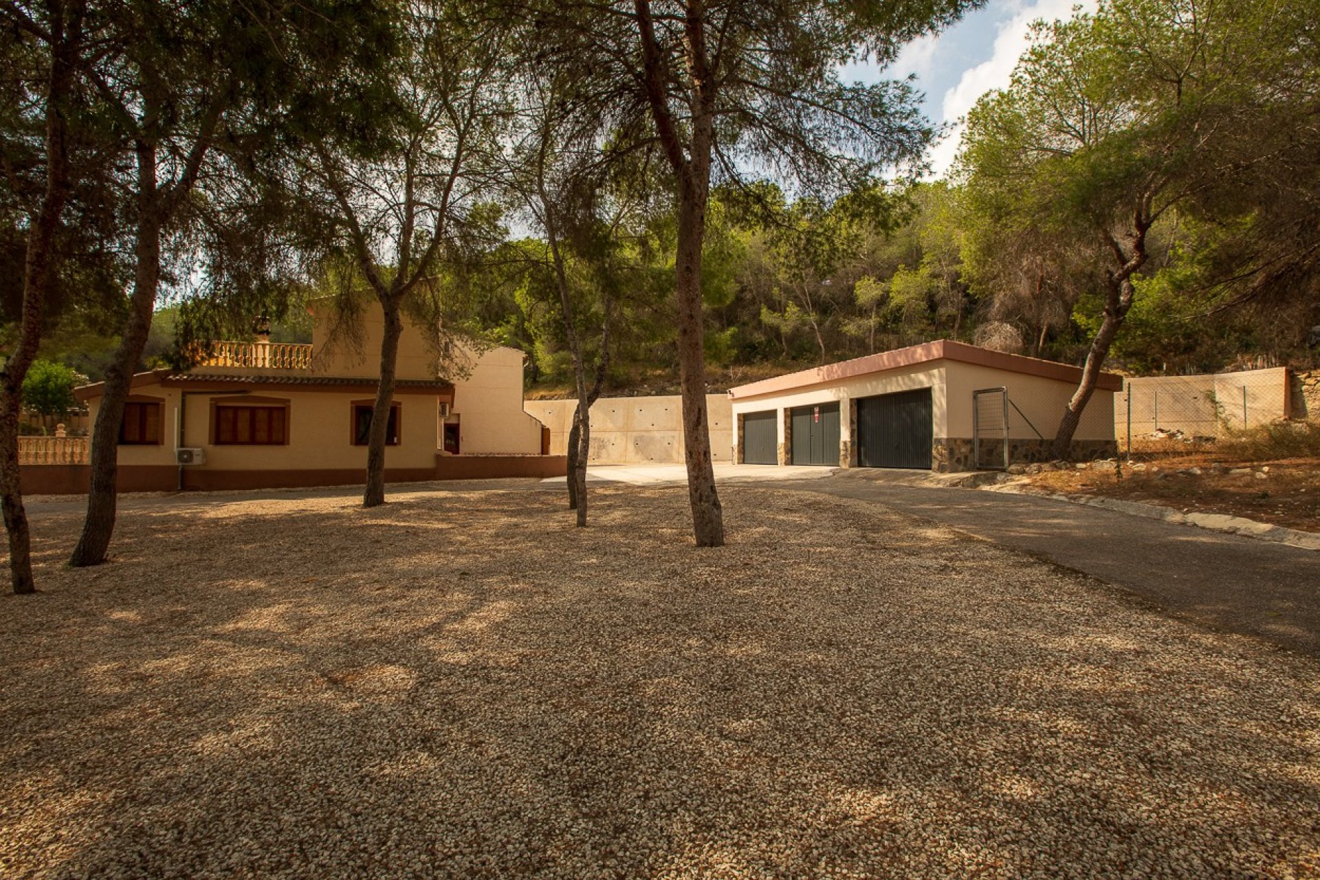 Resale - Finca -
Torremendo