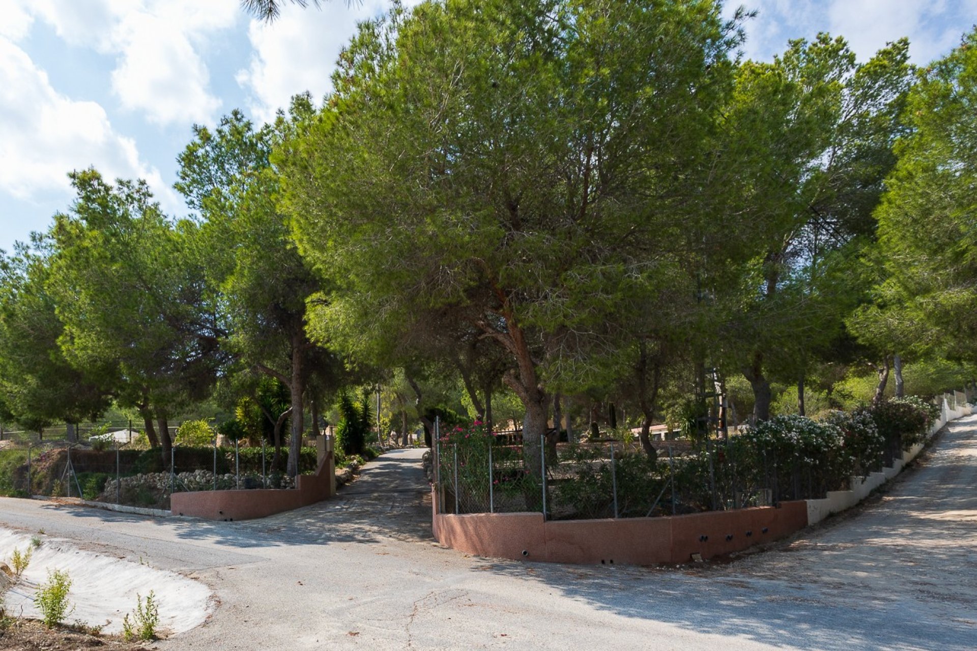 Resale - Finca -
Torremendo