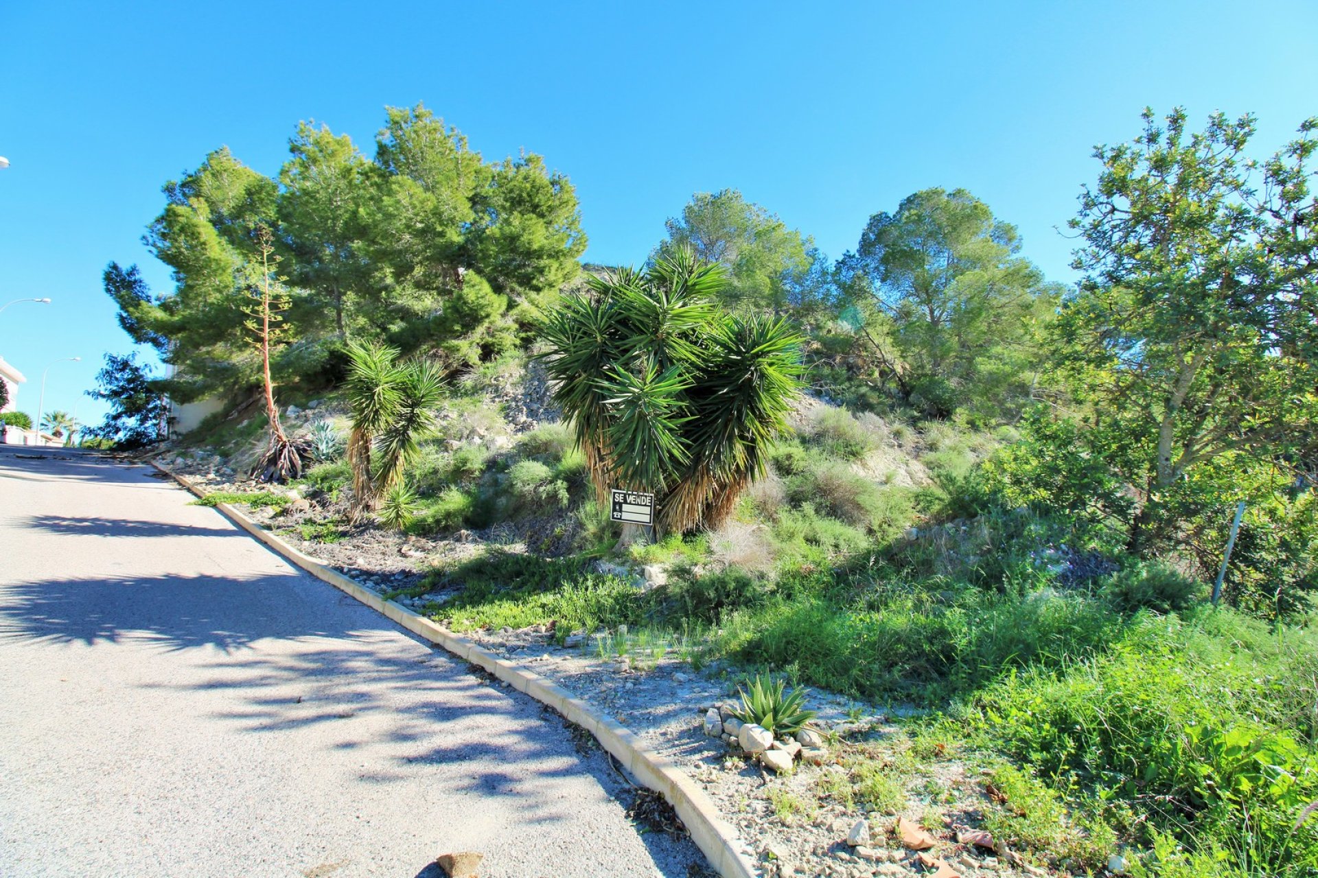 Resale - Land -
San Miguel - San Miguel de Salinas