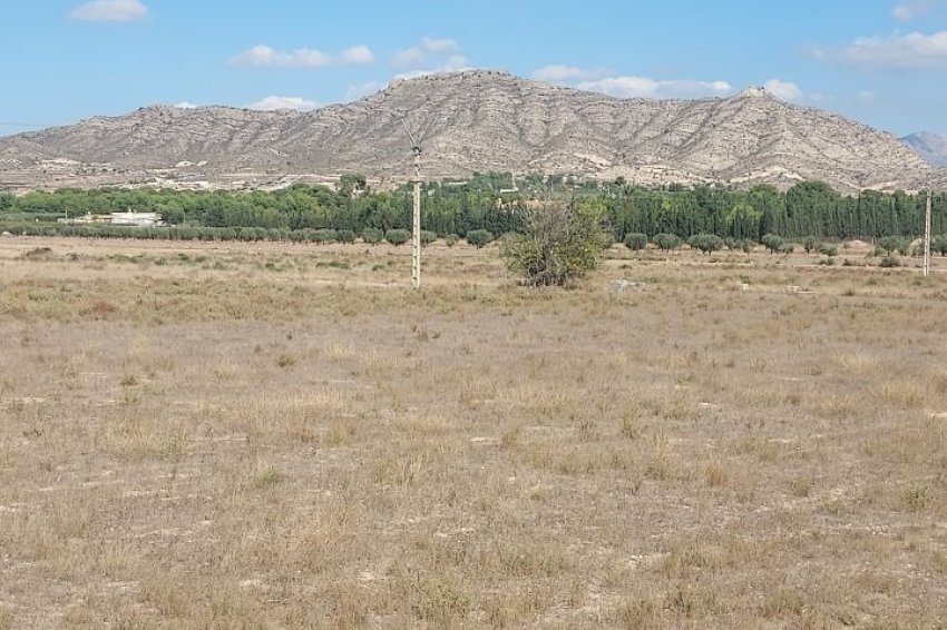 Resale - Plot / Land -
Hondón de las Nieves