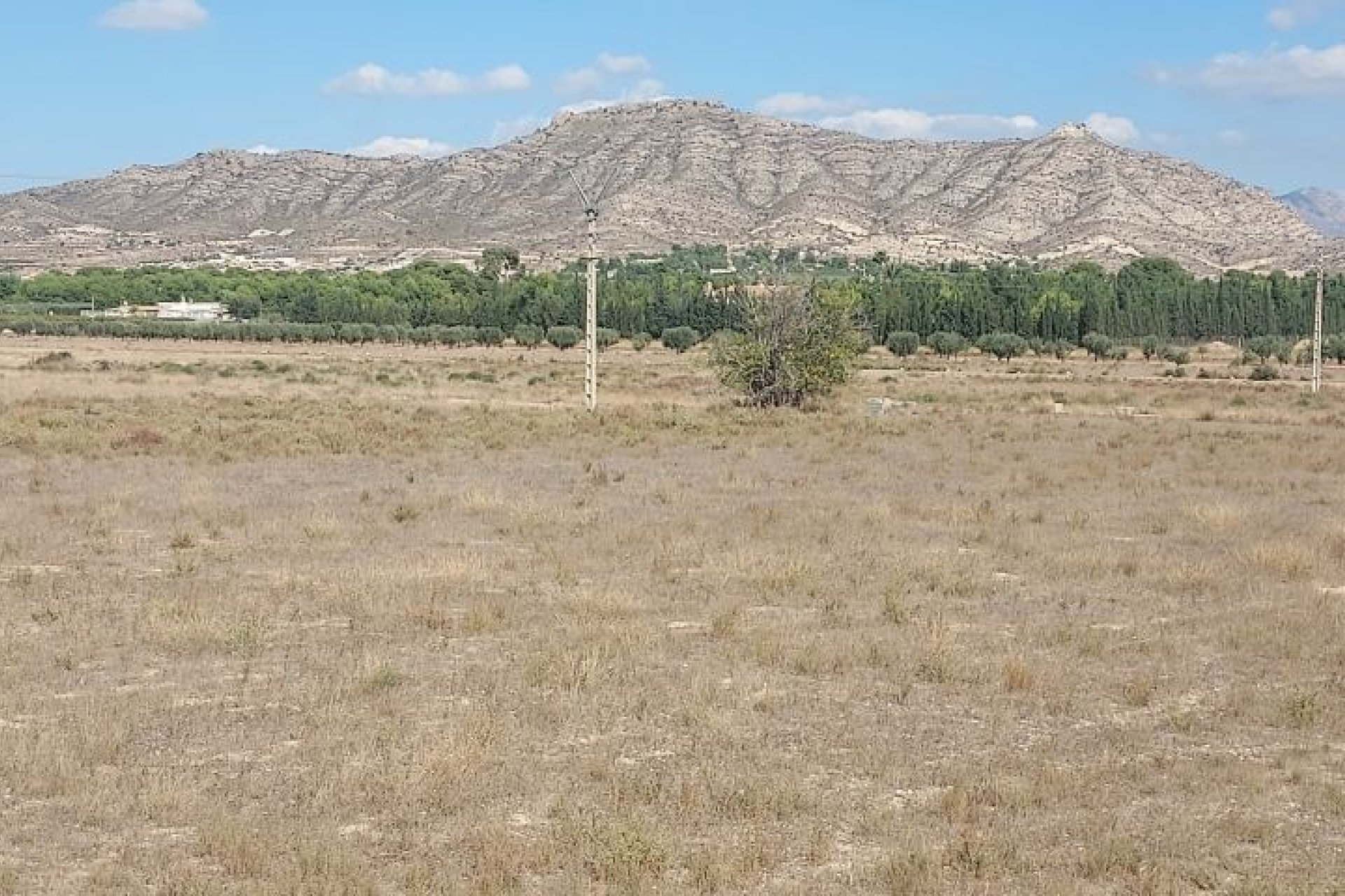 Resale - Plot / Land -
Hondón de las Nieves