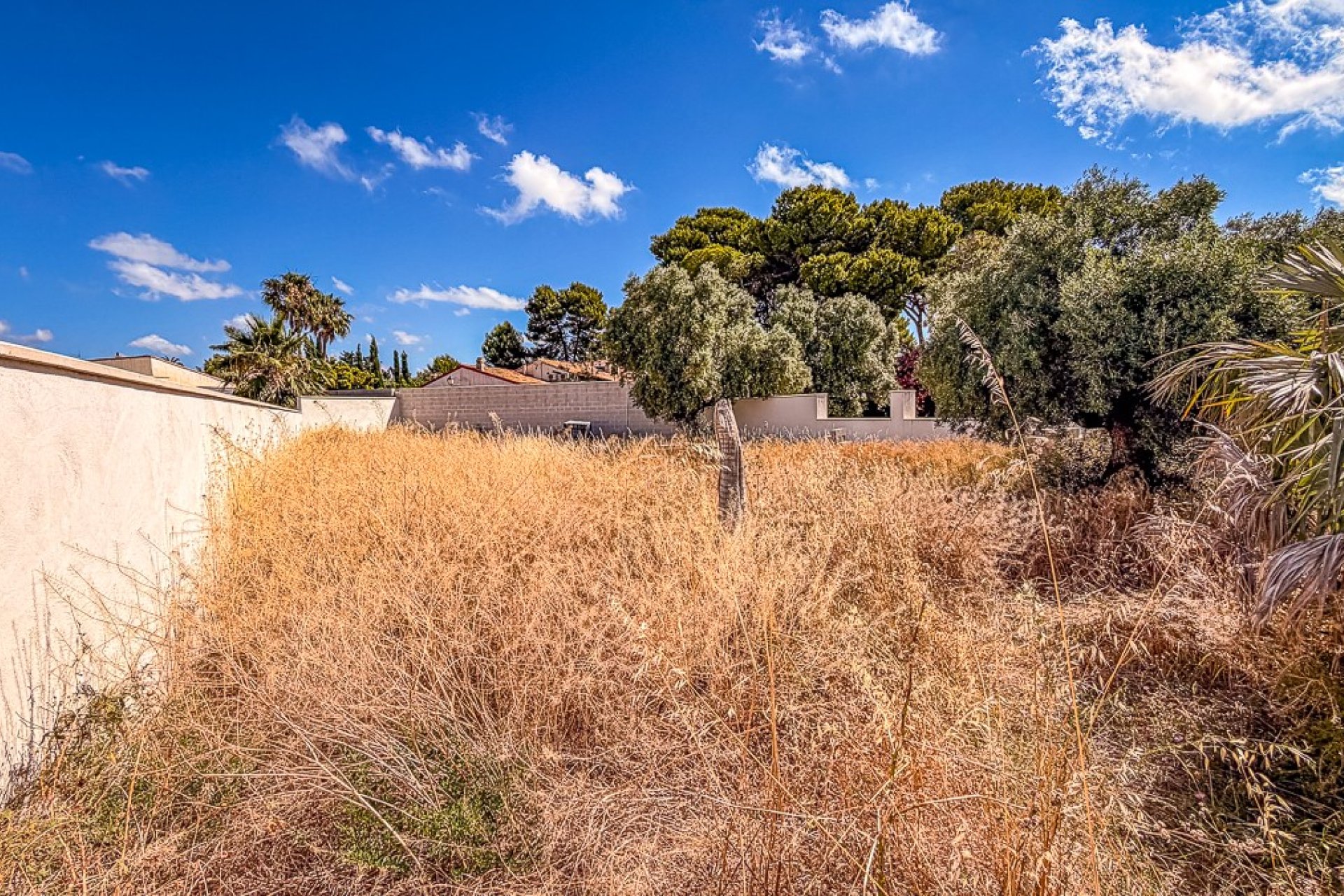 Resale - Plot / Land -
SANTIAGO DE LA RIBERA - zona san blas