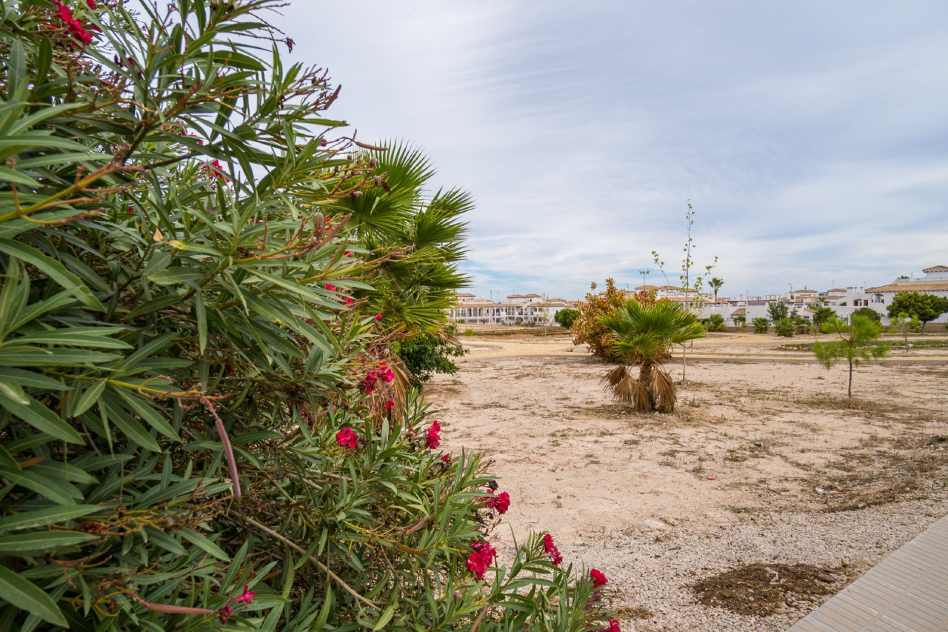 Resale - Townhouse -
Los Altos