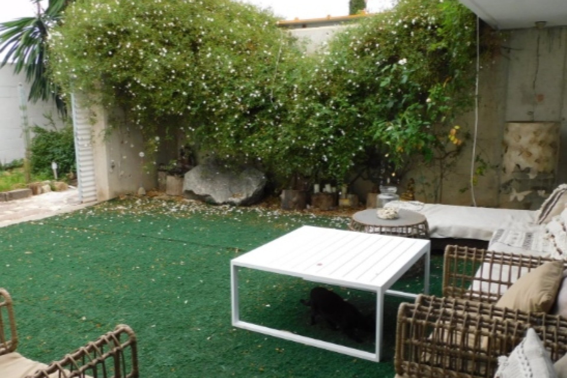 Resale - Villa -
Alicante