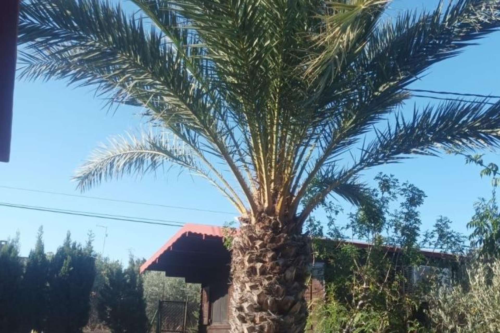 Resale - Villa -
Elche