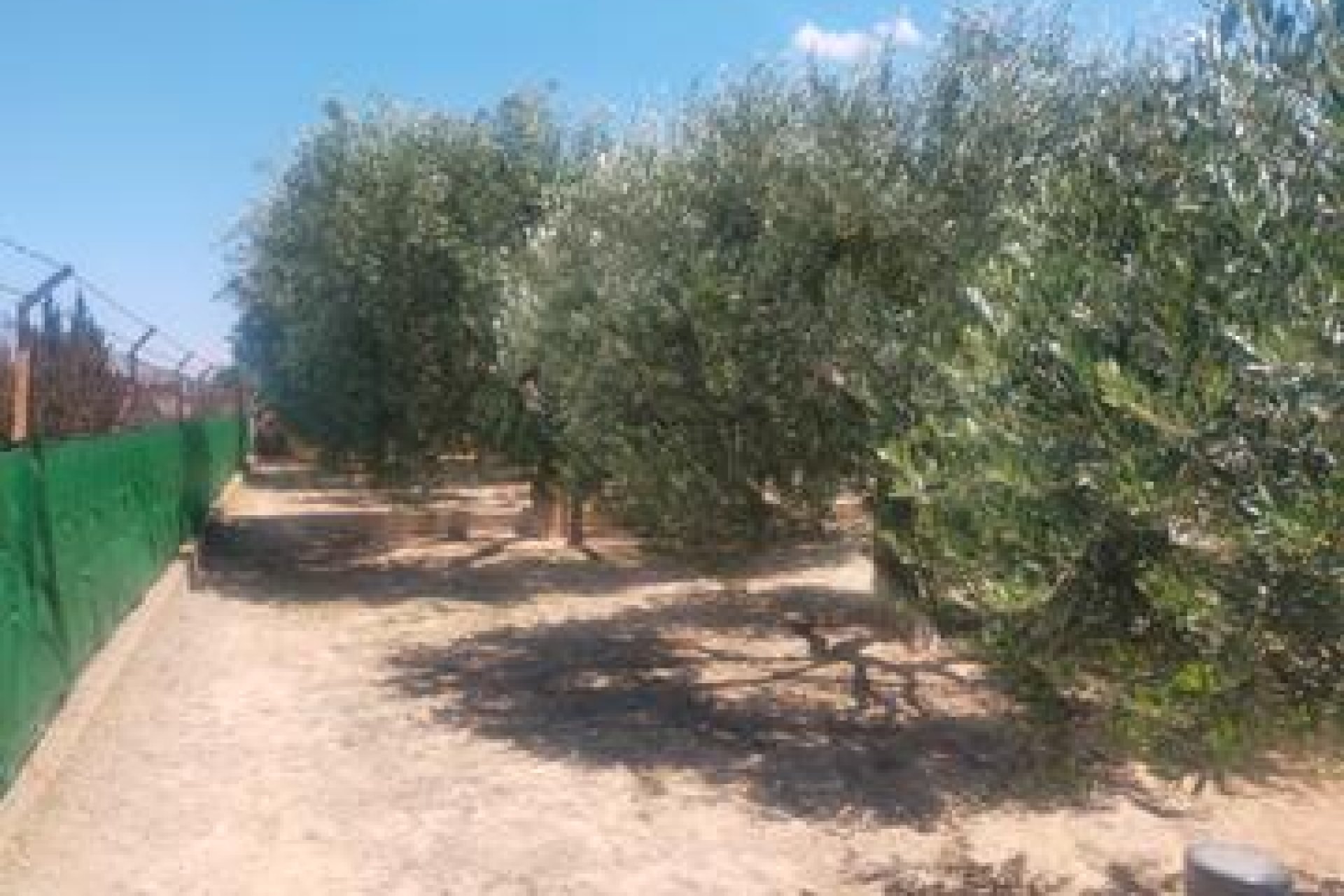 Resale - Villa -
Elche