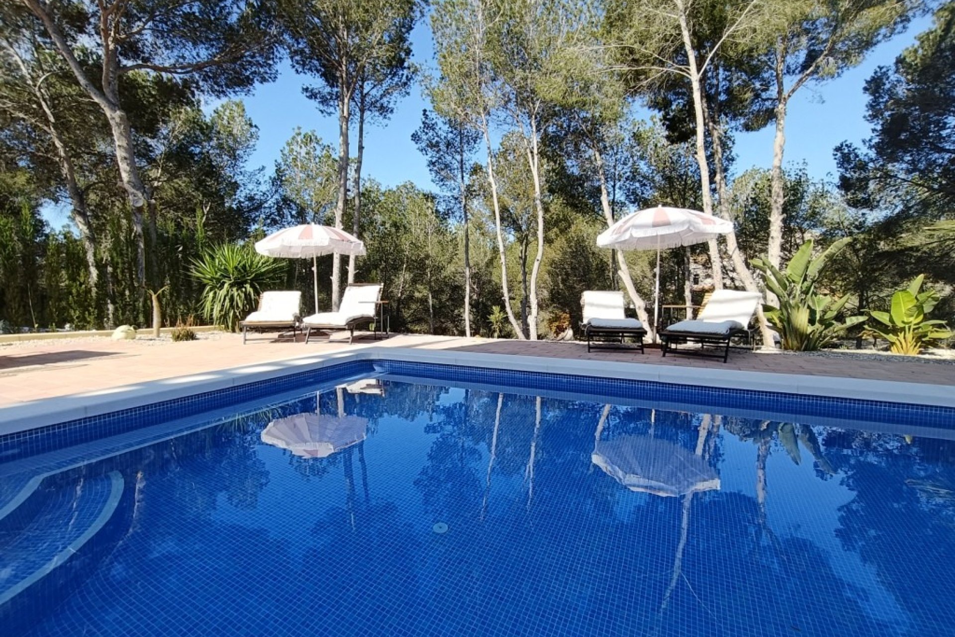 Resale - Villa -
Pinar de Campoverde