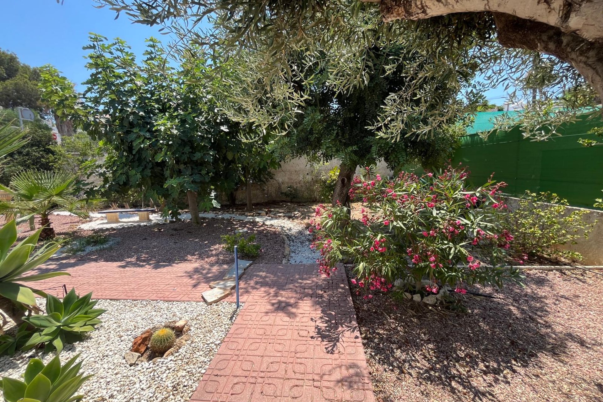 Resale - Villa -
San Miguel - Villamartín