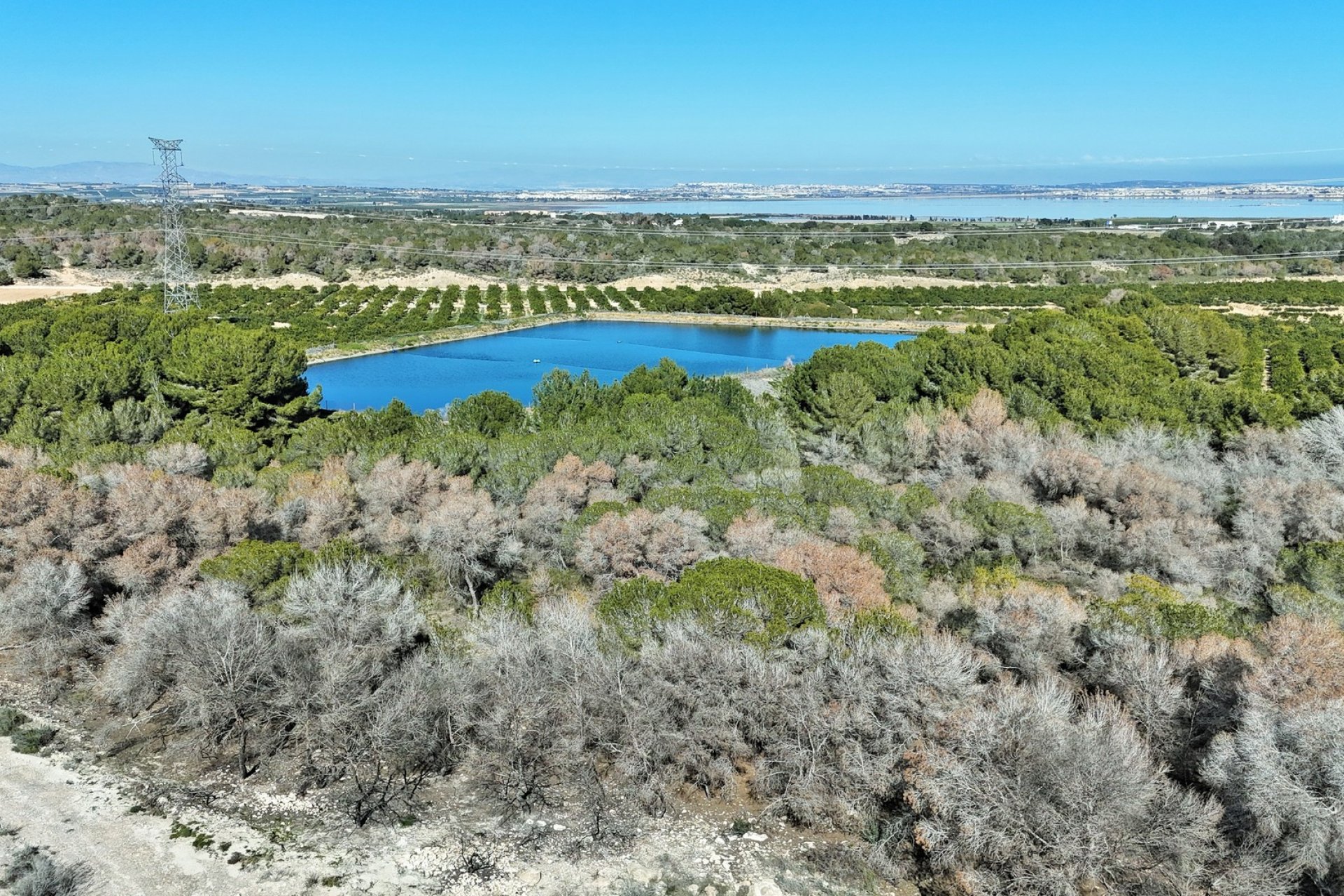 Resale - Villa -
Villamartin - Villamartín