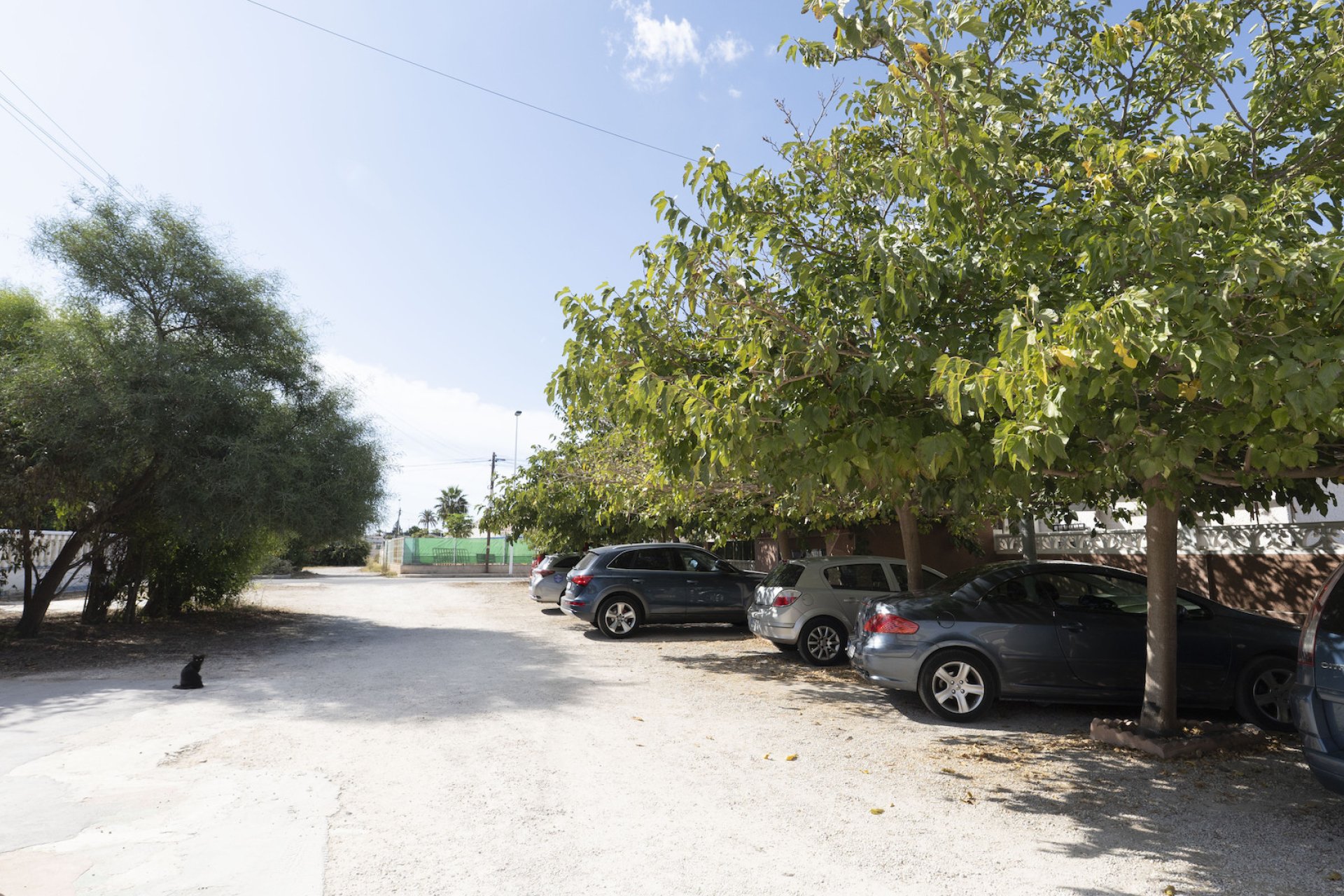 Reventa - Adosado -
Torrevieja