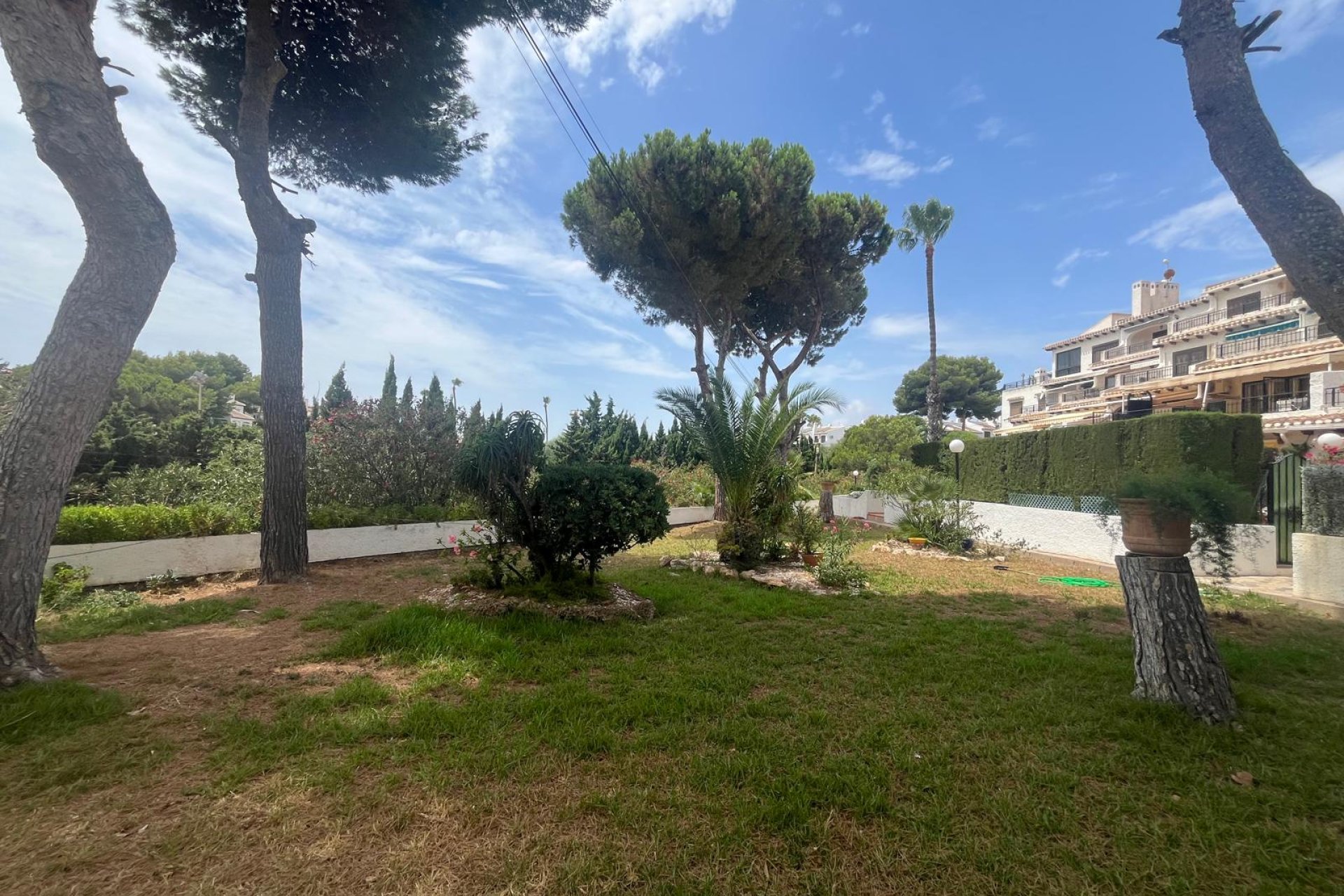 Reventa - Apartment -
Cabo Roig - Cabo Roig Playa
