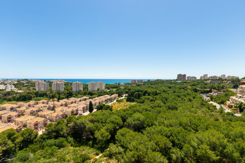 Reventa - Apartment -
Campoamor - Dehesa de Campoamor