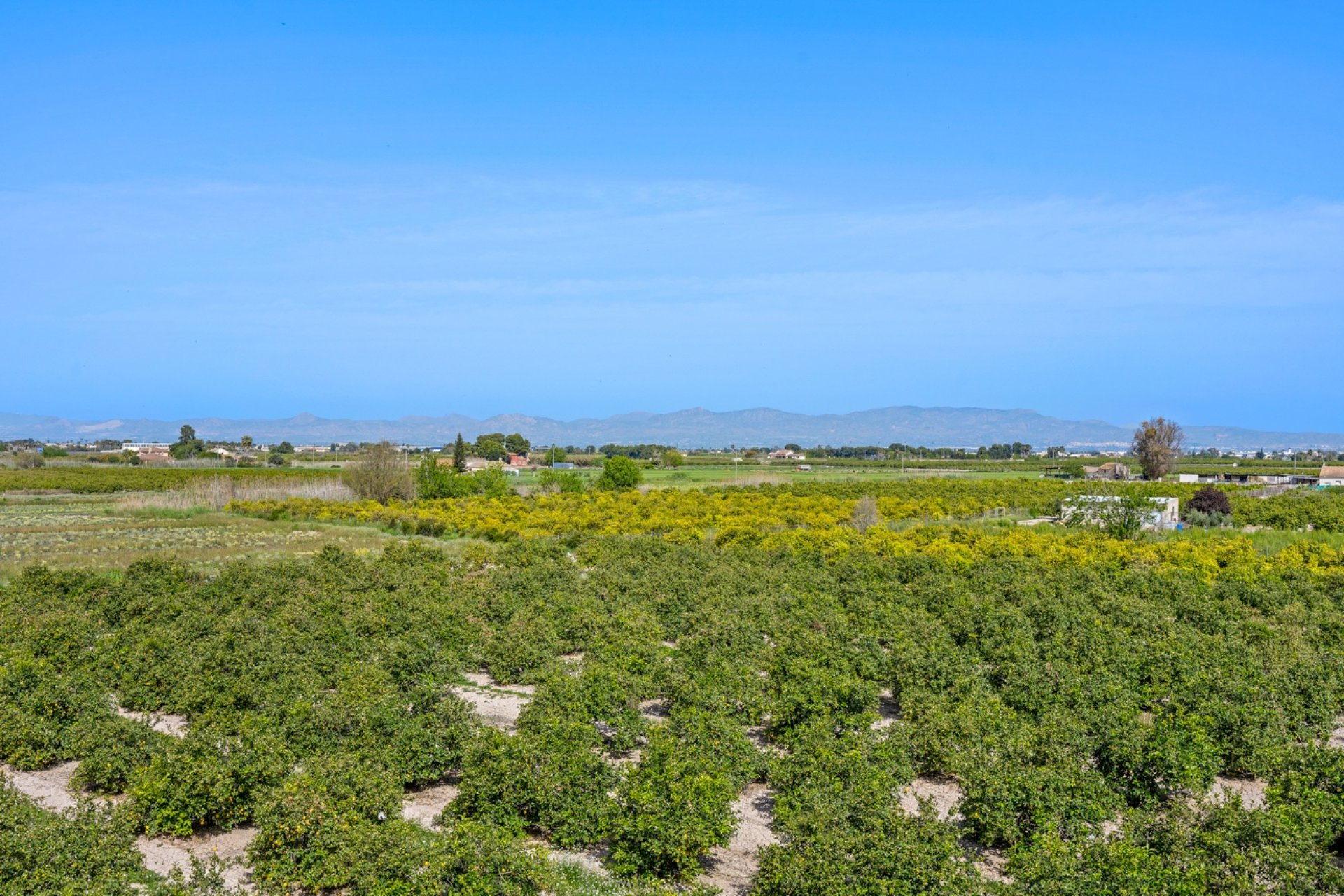 Reventa - Apartment -
Daya Nueva - Costa Blanca South