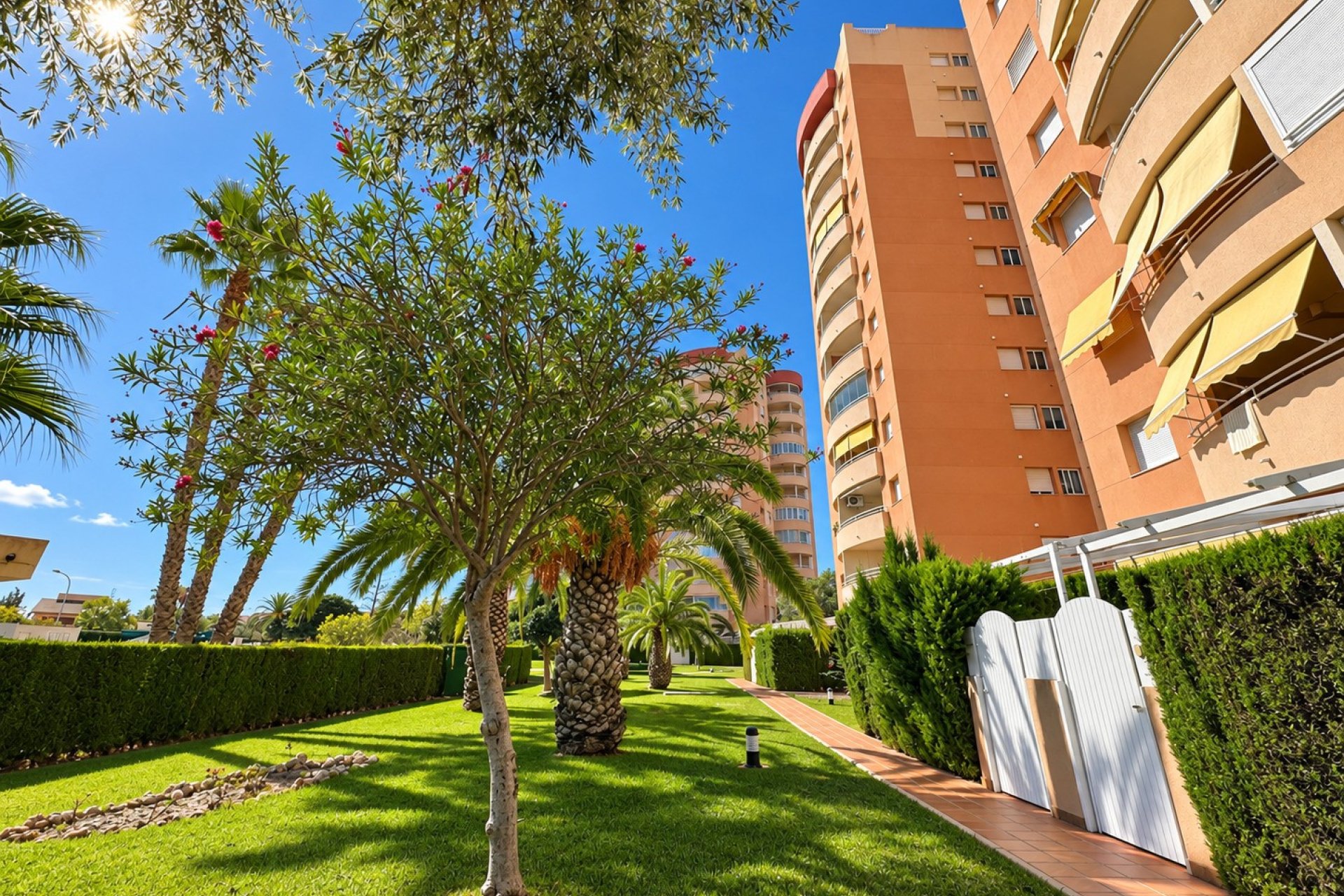 Reventa - Apartment / Duplex -
Orihuela Costa - Campoamor