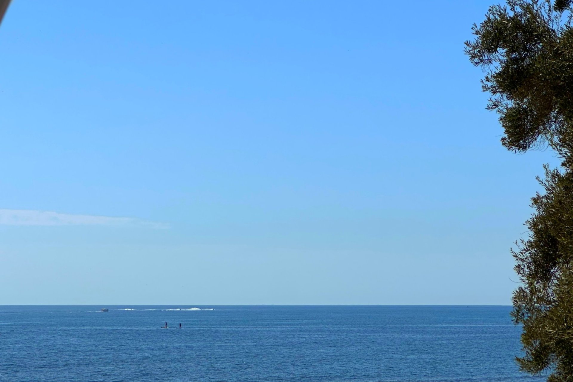 Reventa - Apartment / Duplex -
Torrevieja
