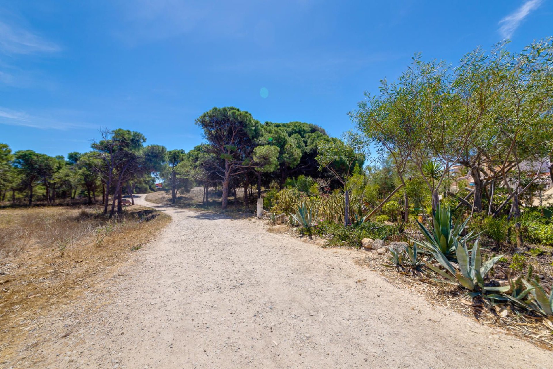 Reventa - Apartment -
Guardamar del Segura - Pinomar