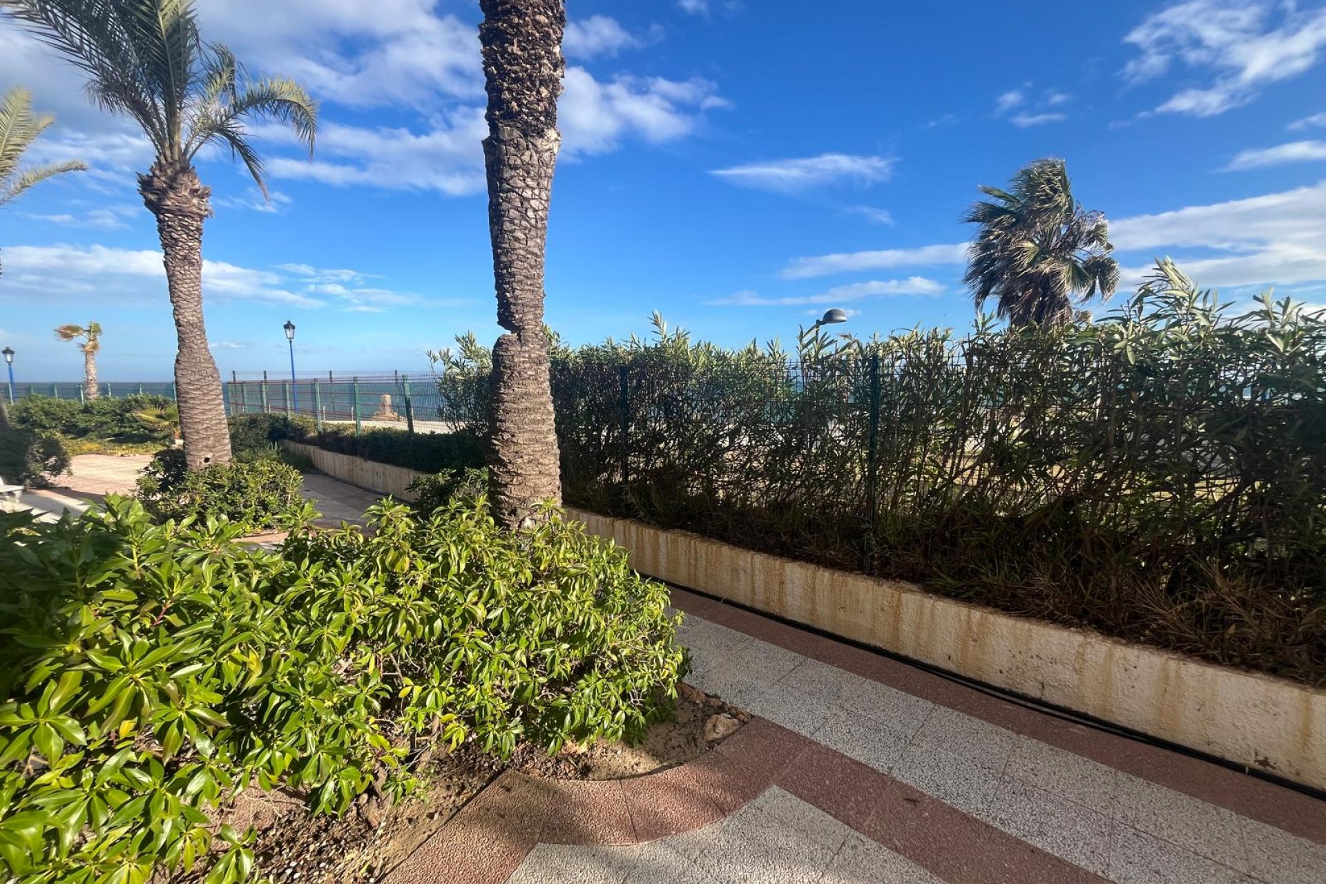 Reventa - Apartment -
La Zenia - Orihuela Costa