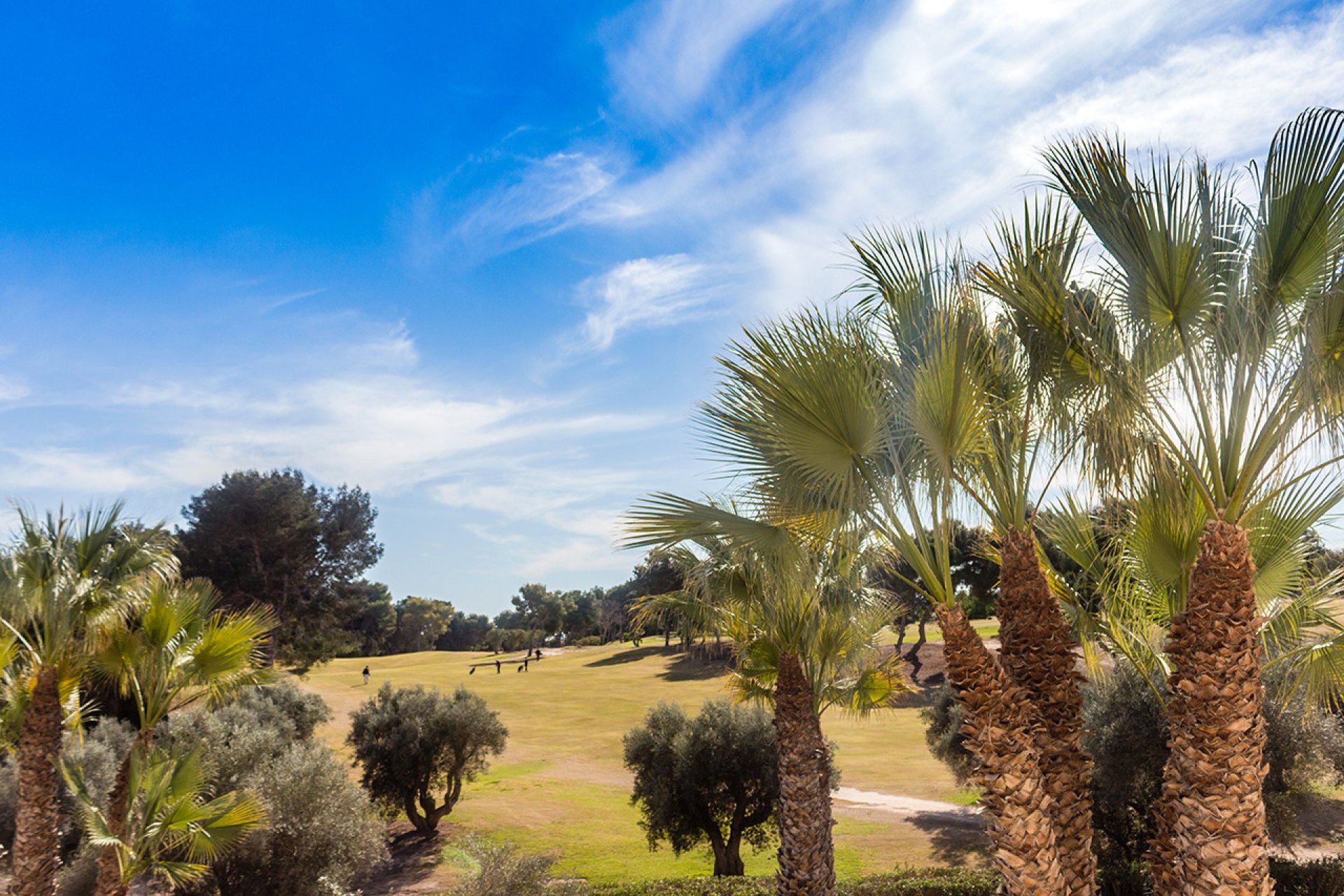 Reventa - Apartment -
Lomas de Cabo Roig