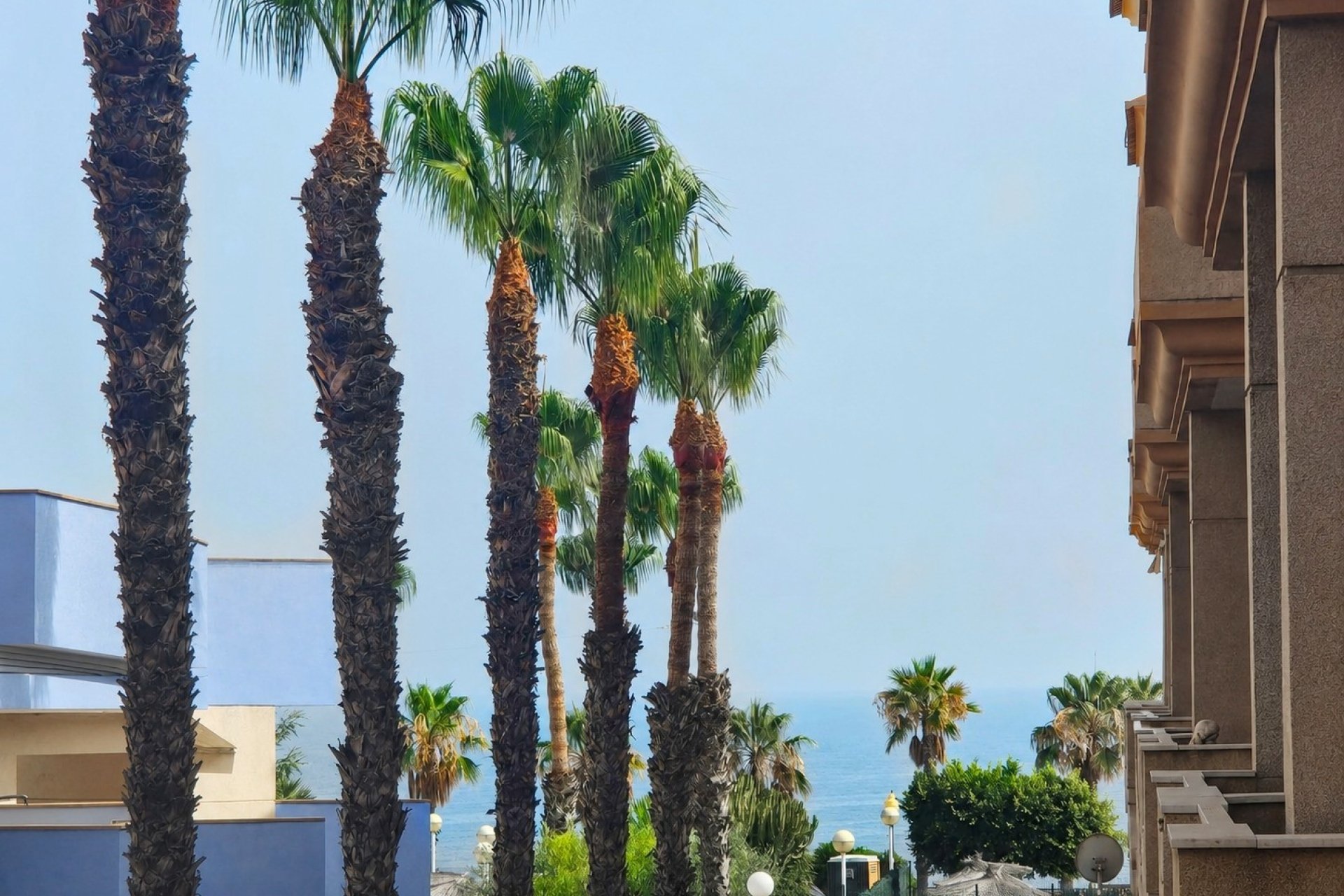Reventa - Apartment -
Orihuela Costa - Aguamarina
