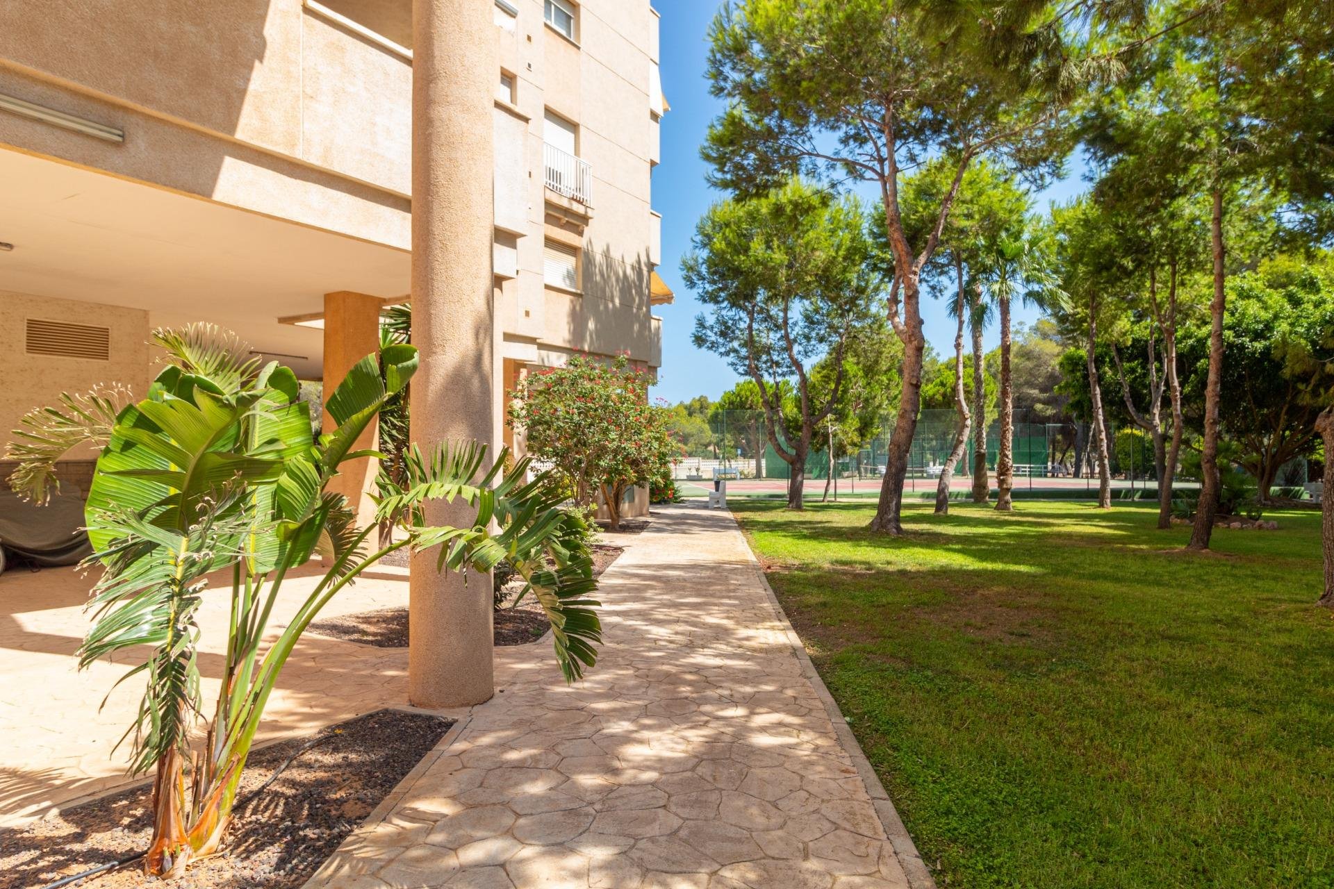 Reventa - Apartment -
Orihuela Costa - Campoamor