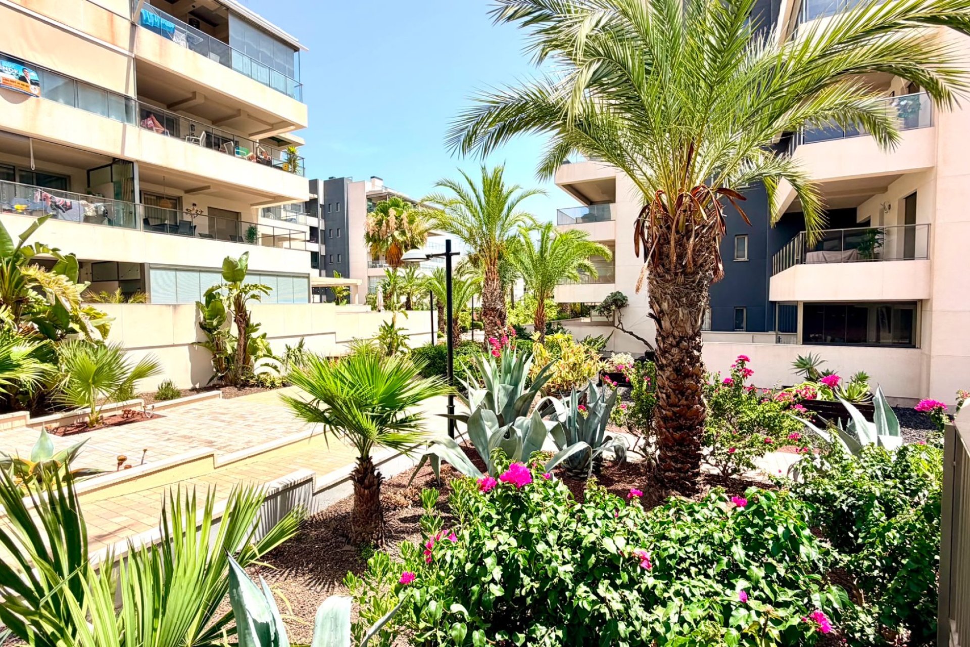 Reventa - Apartment -
Orihuela Costa - La Zenia