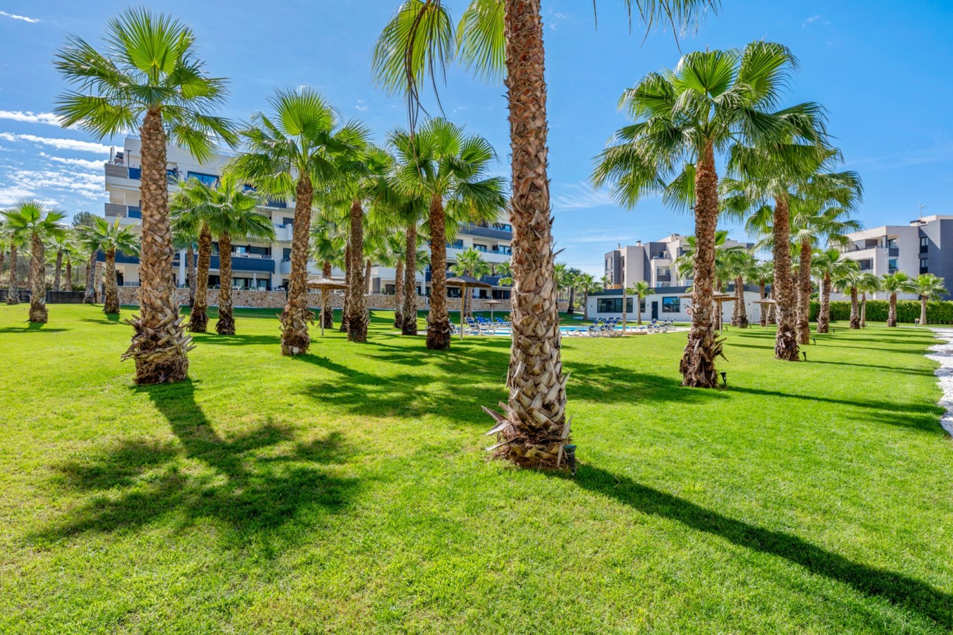 Reventa - Apartment -
Orihuela Costa - Los Altos
