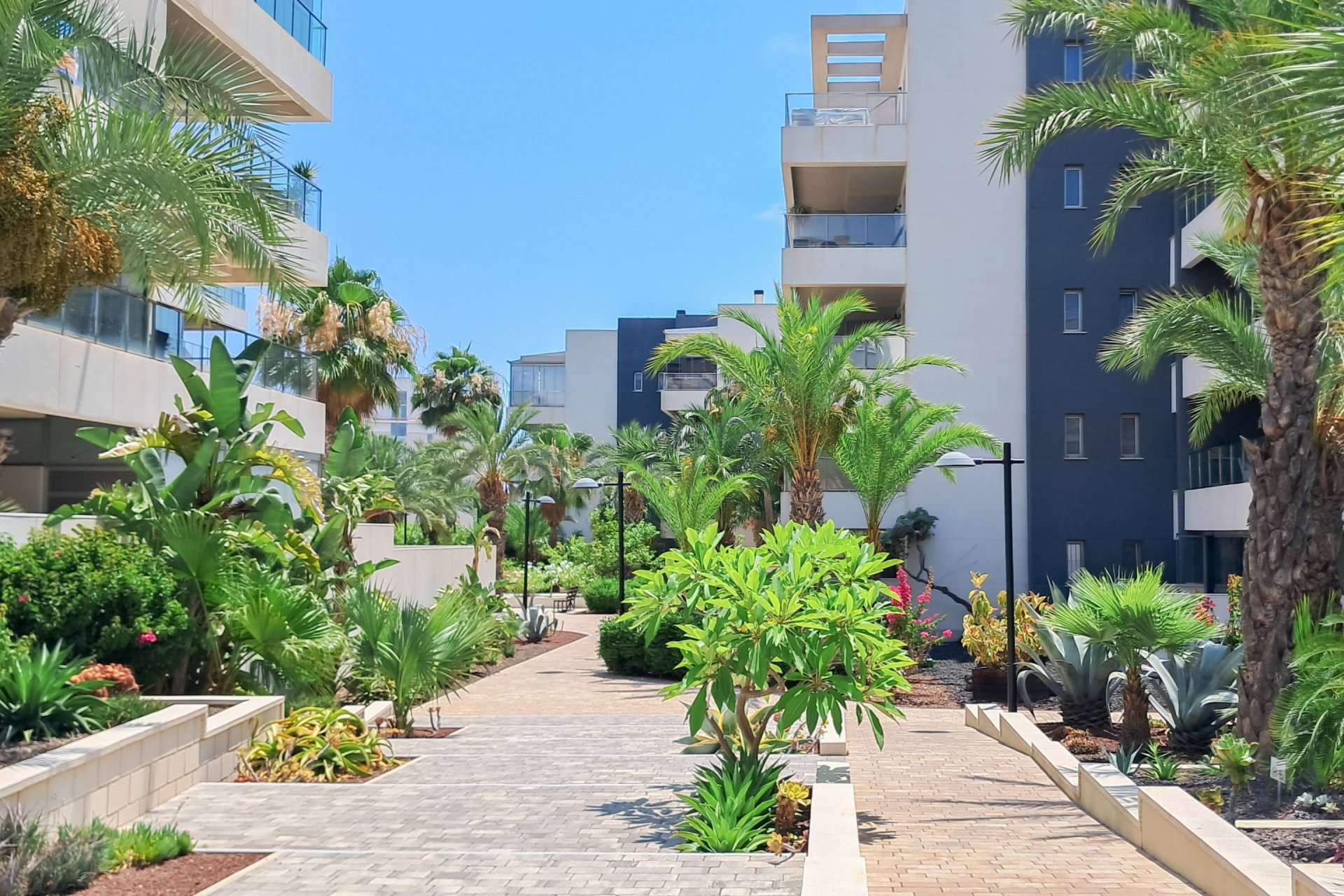 Reventa - Apartment -
Orihuela Costa - Los Dolses