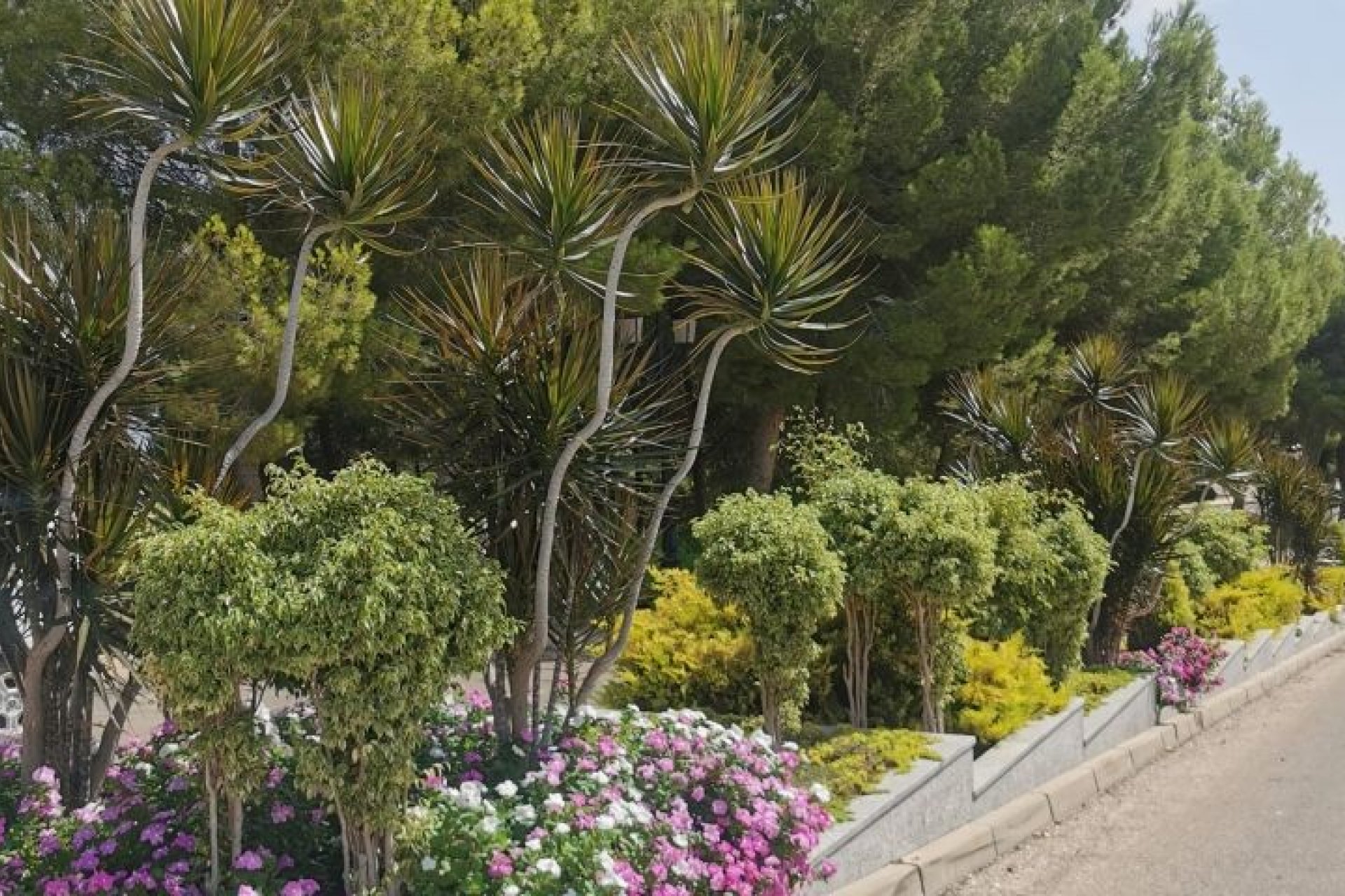 Reventa - Apartment -
Orihuela Costa