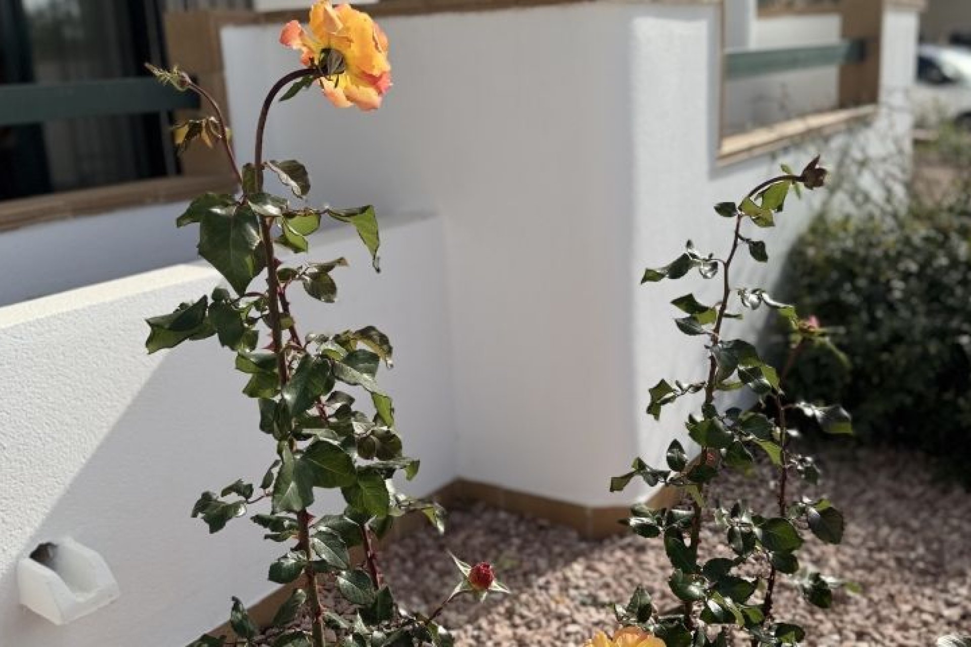 Reventa - Apartment -
Orihuela Costa