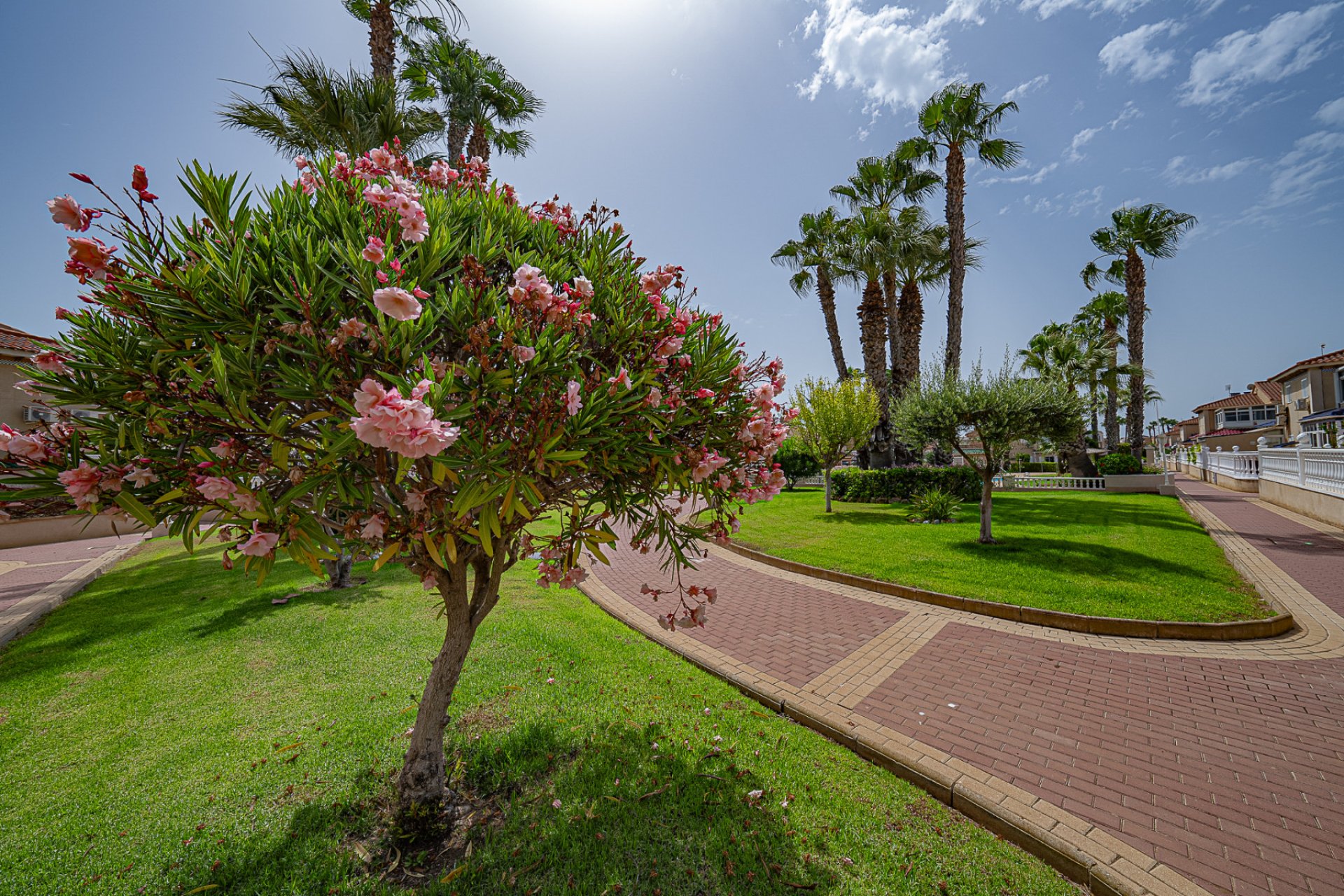 Reventa - Apartment -
Playa Flamenca - Zenia Mar