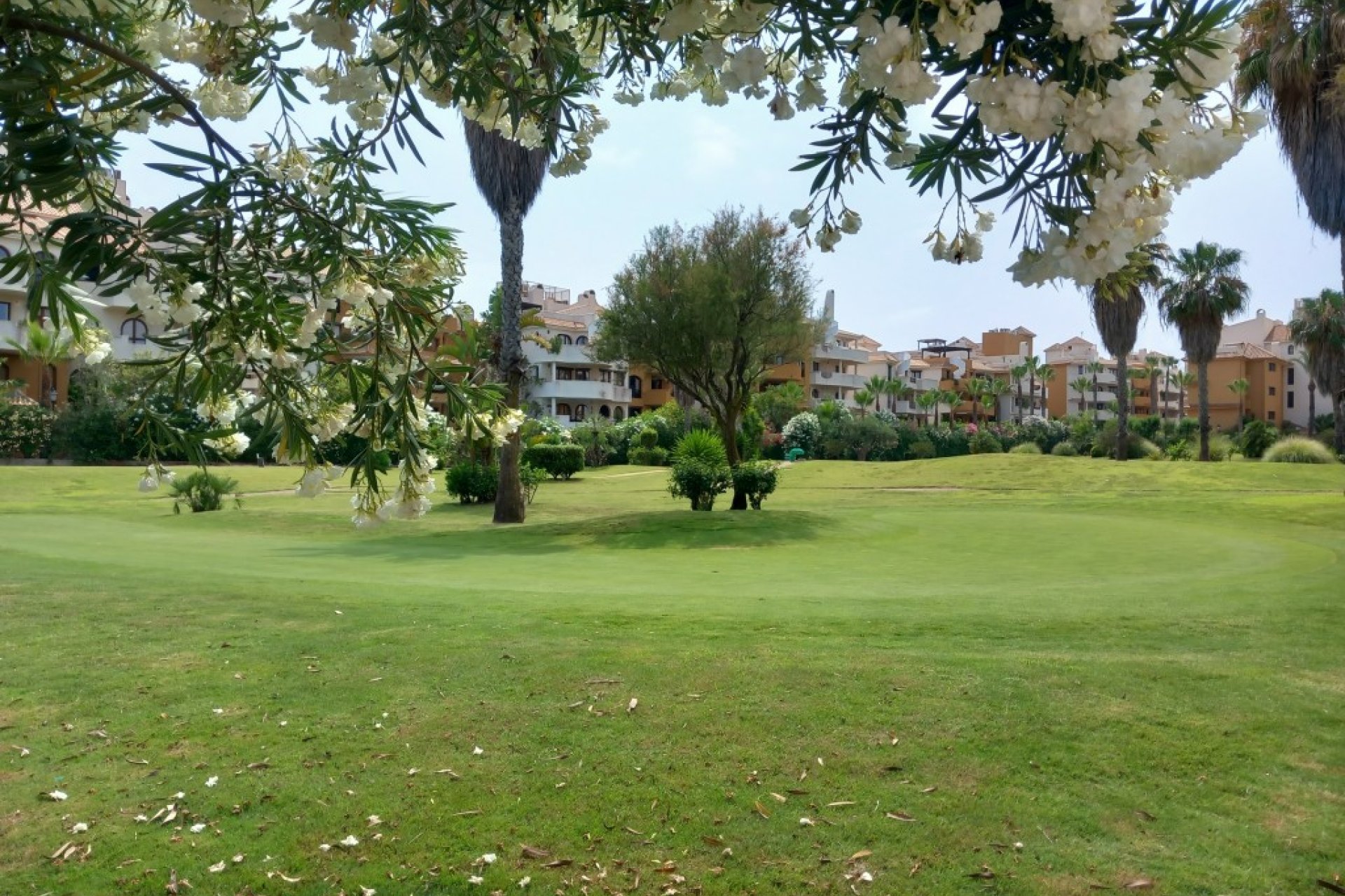 Reventa - Apartment -
Punta Prima