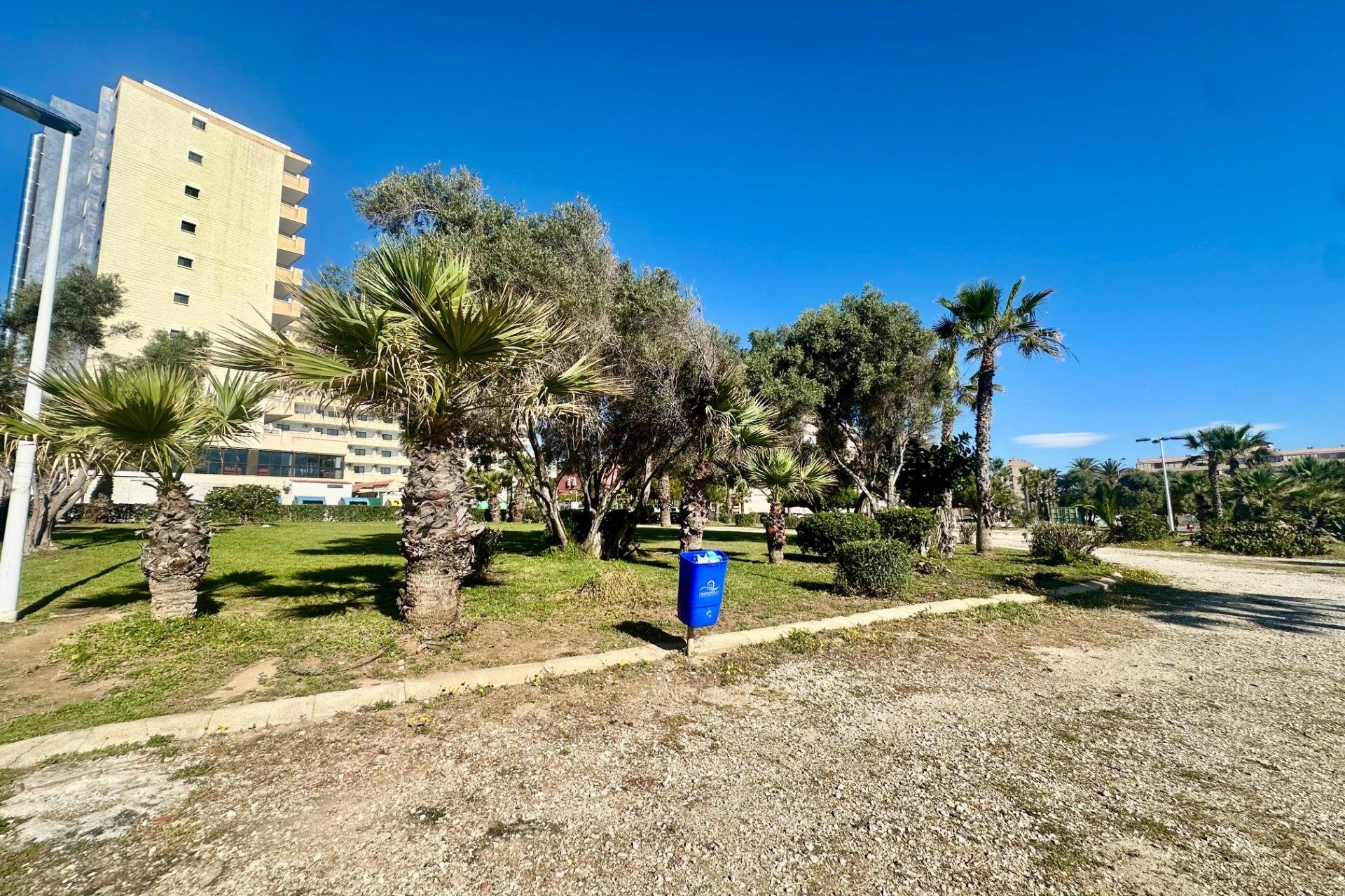 Reventa - Apartment -
Torrevieja - Cabo cervera