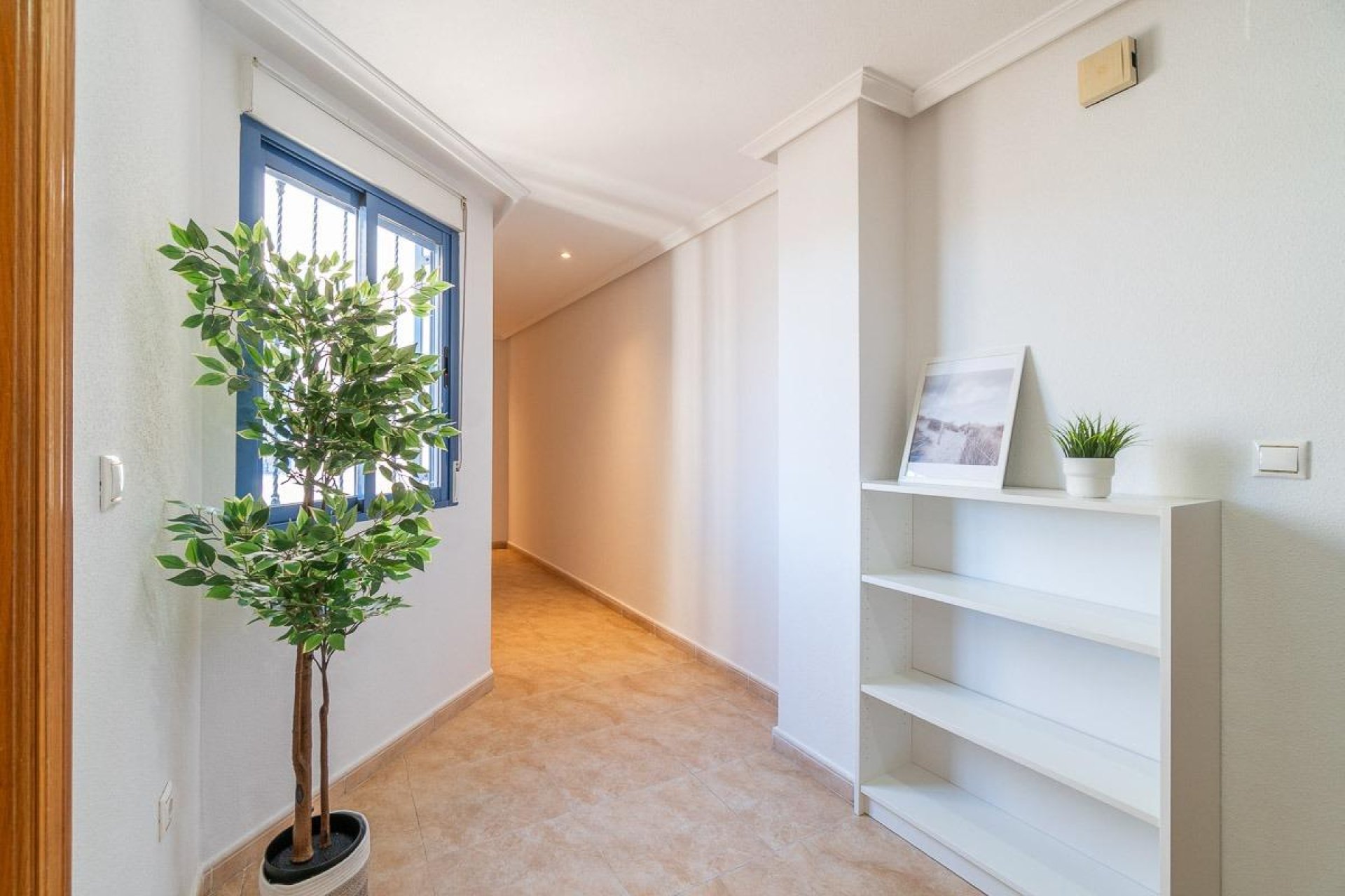 Reventa - Apartment -
Torrevieja - Centro