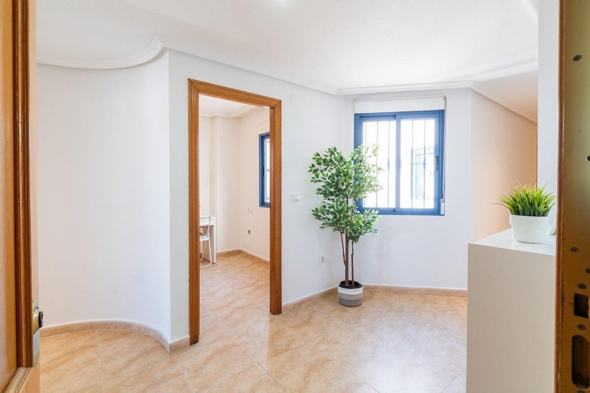 Reventa - Apartment -
Torrevieja - Centro