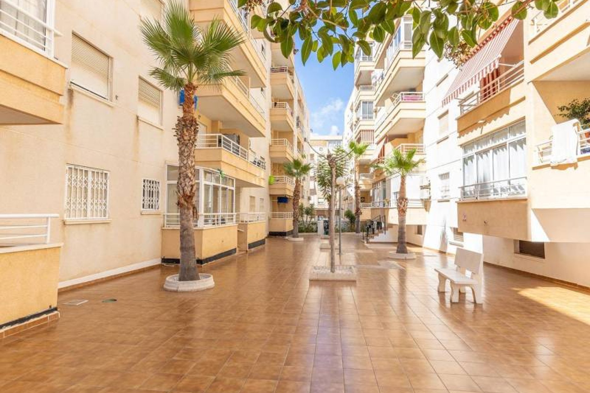 Reventa - Apartment -
Torrevieja - Estacion de autobuses