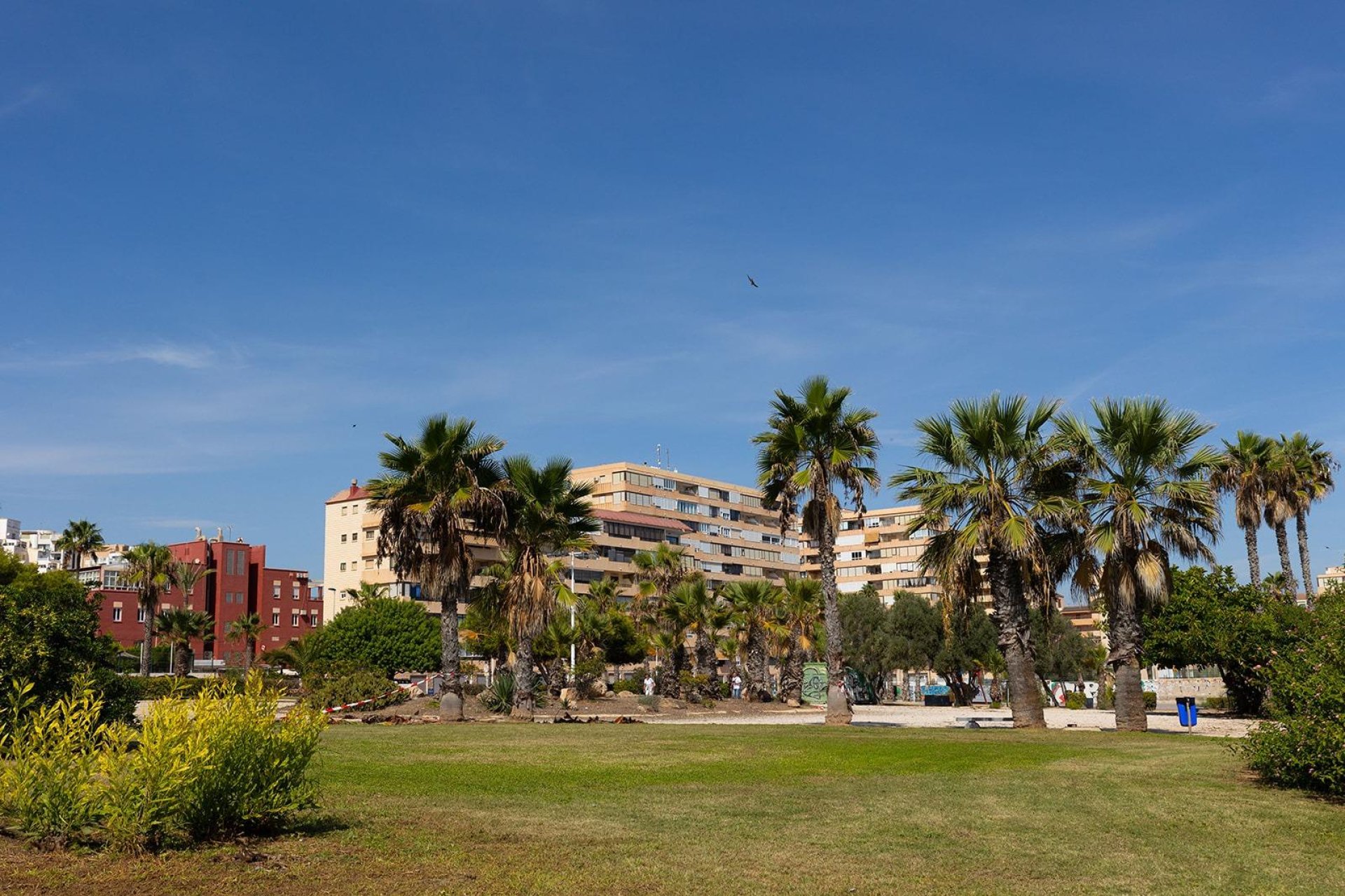 Reventa - Apartment -
Torrevieja - La Mata