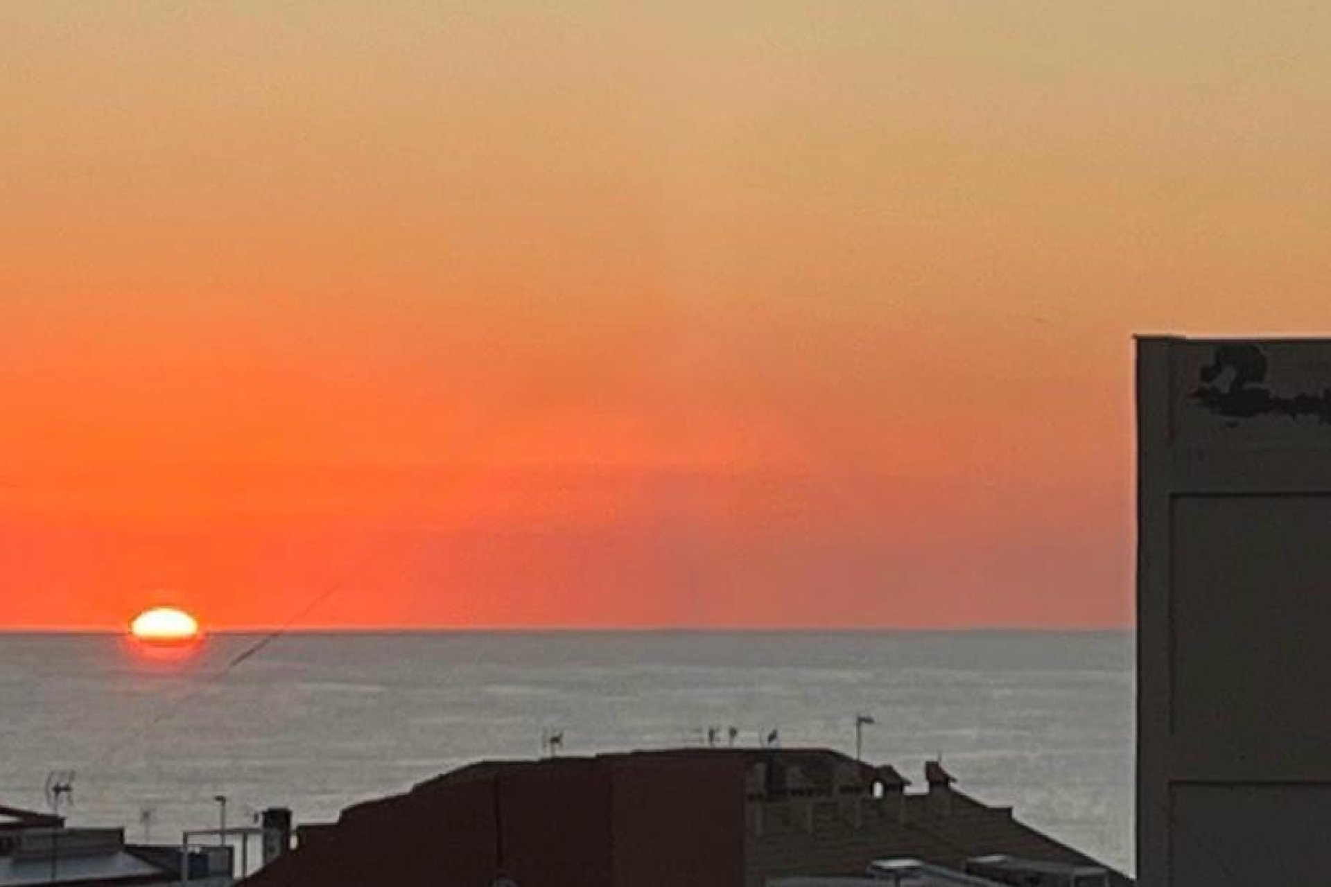 Reventa - Apartment -
Torrevieja - La Mata
