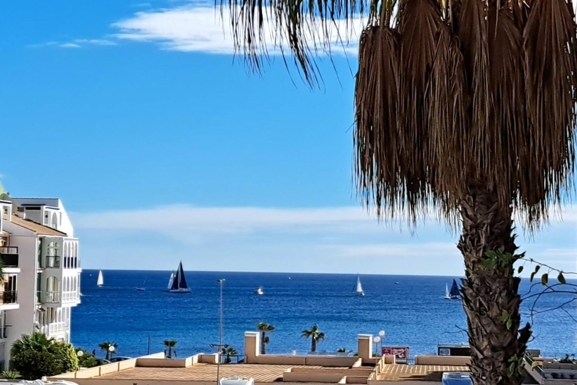 Reventa - Apartment -
Torrevieja - La Veleta