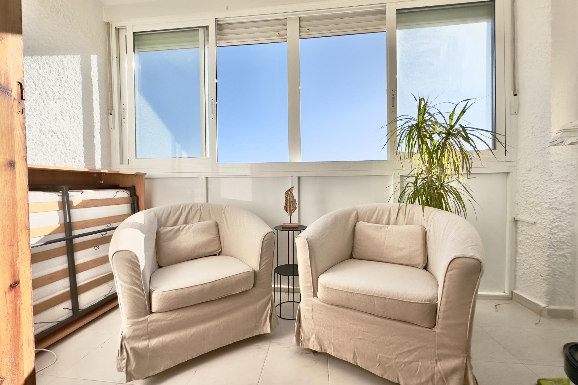 Reventa - Apartment -
Torrevieja - Los Europeos