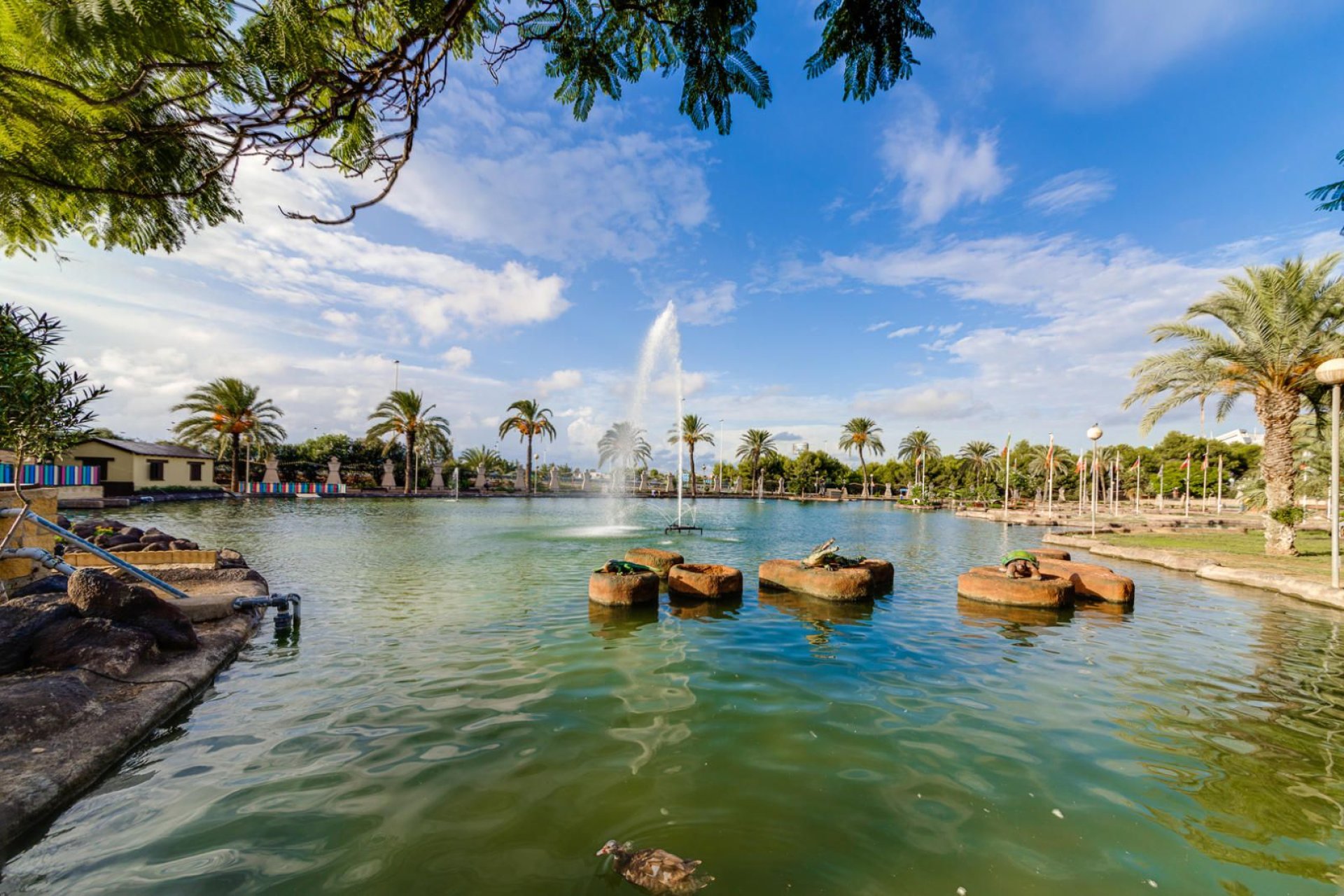 Reventa - Apartment -
Torrevieja - Parque las naciones