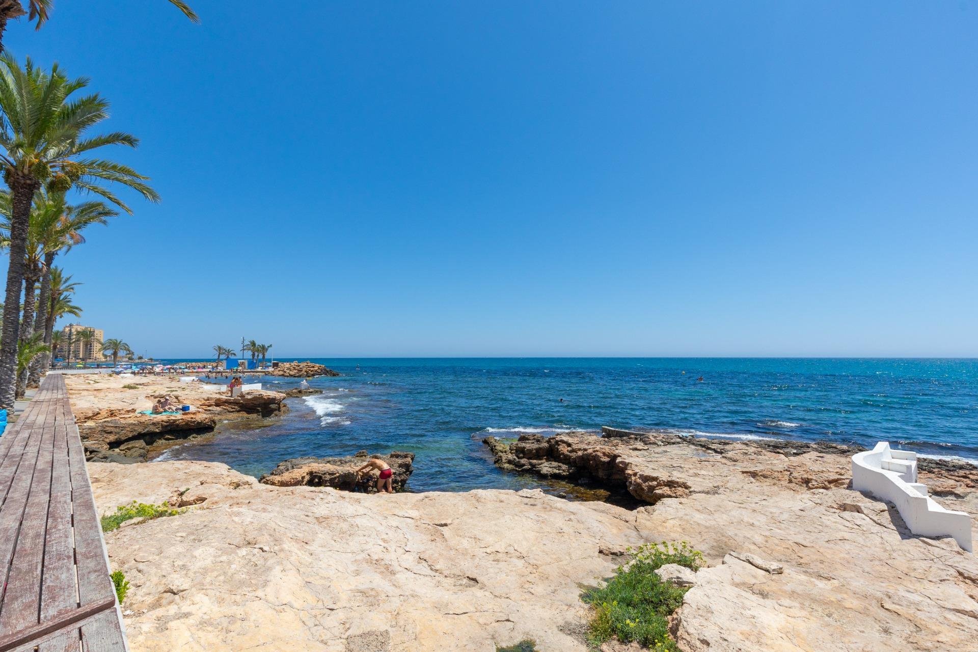 Reventa - Apartment -
Torrevieja - Paseo maritimo