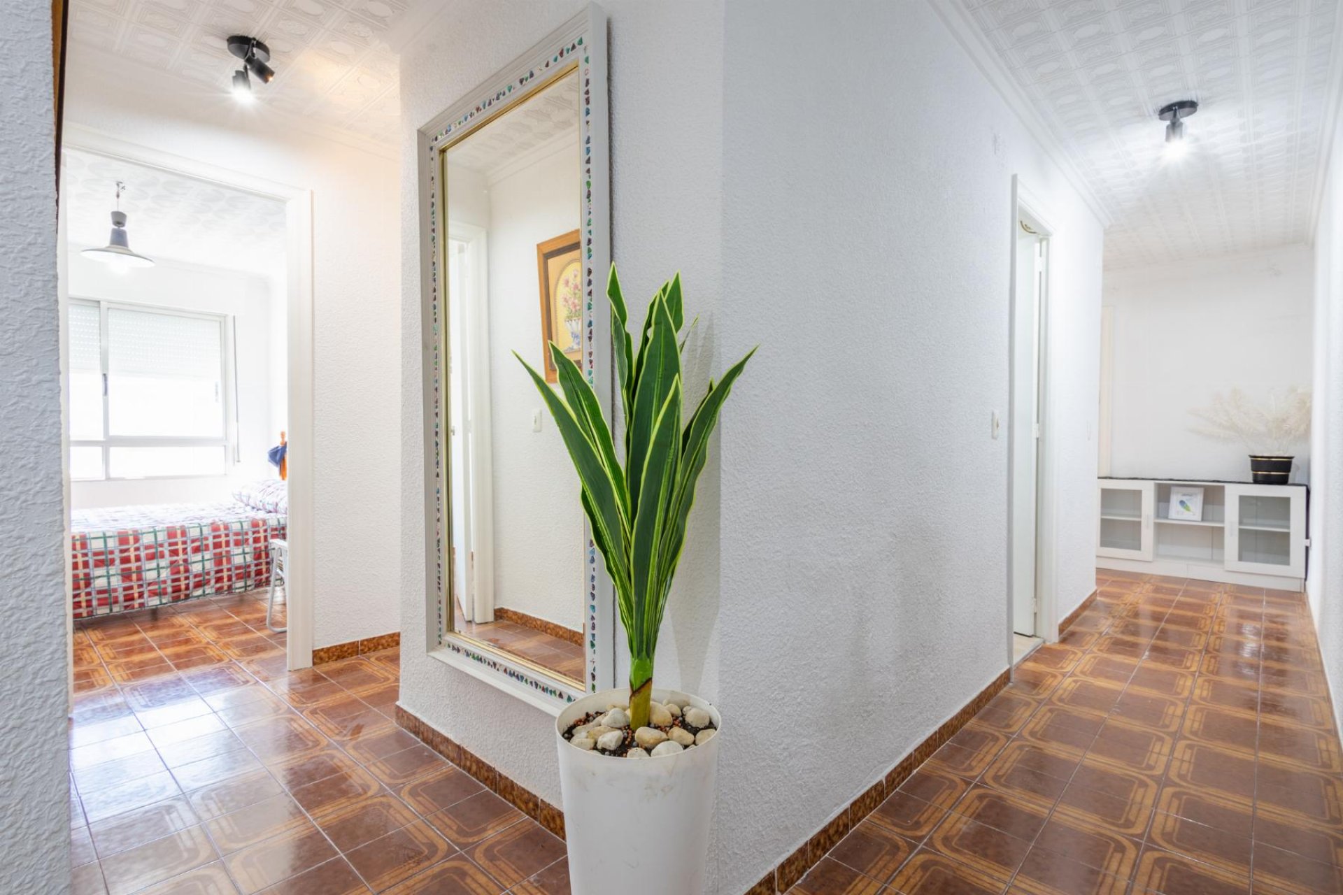 Reventa - Apartment -
Torrevieja - Playa del Acequión