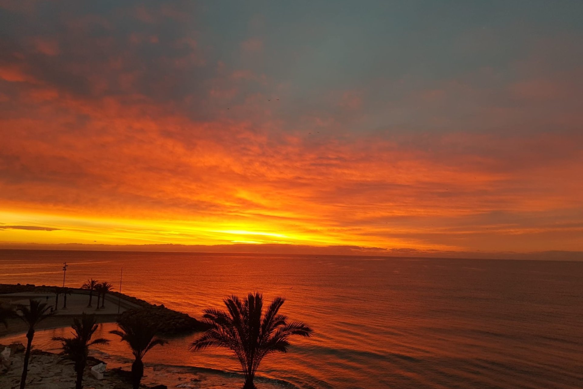 Reventa - Apartment -
Torrevieja - Playa del Cura