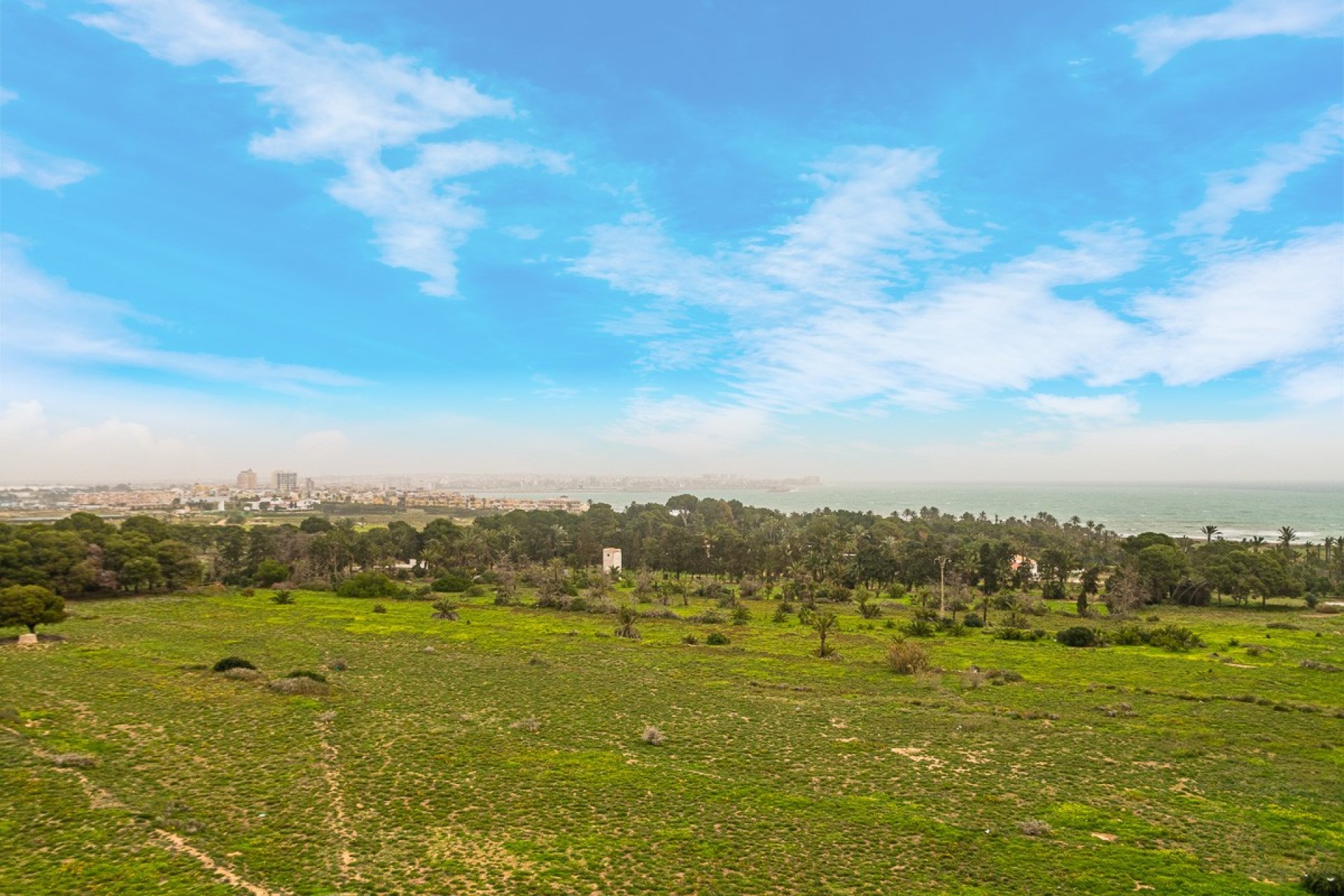 Reventa - Apartment -
Torrevieja - Punta Prima